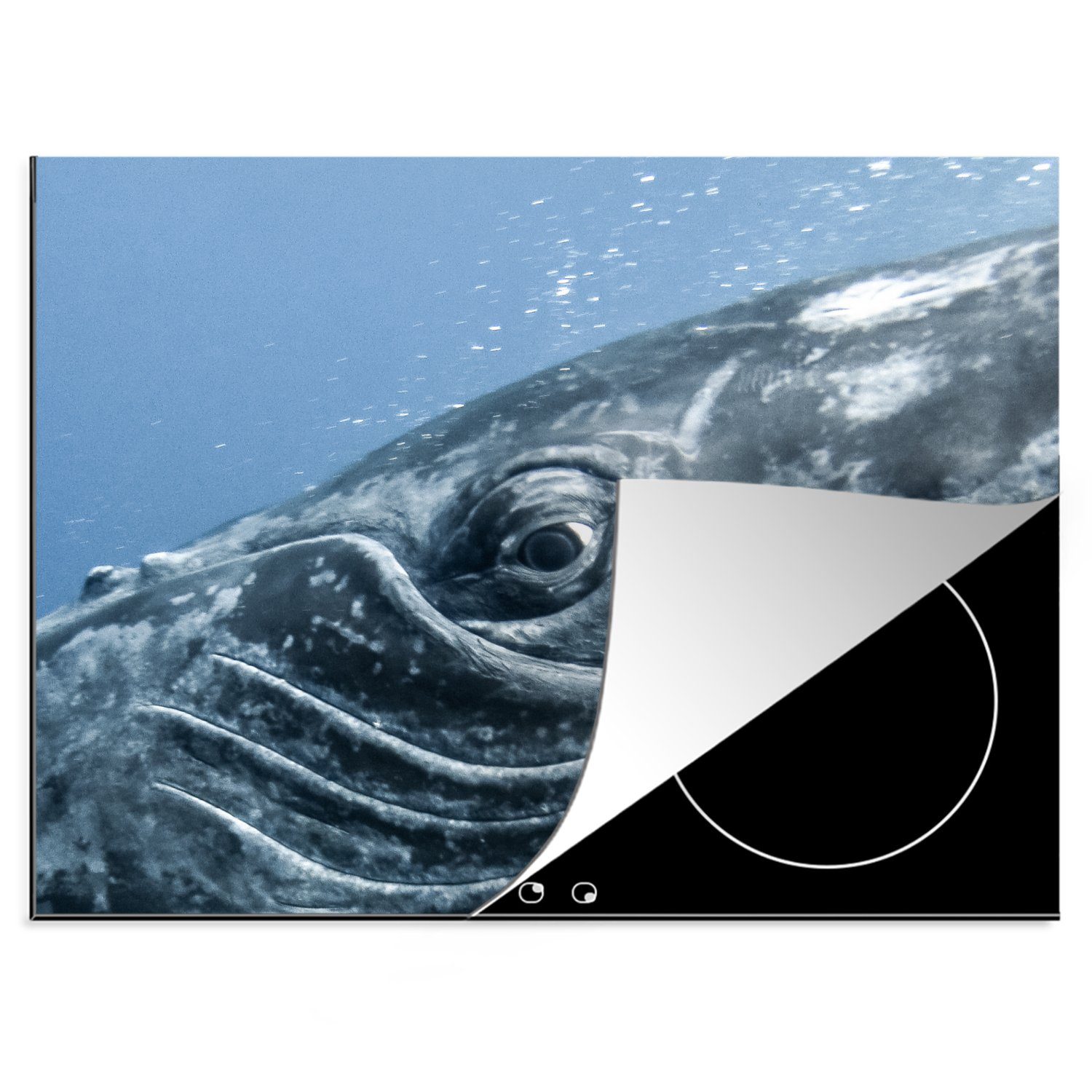 Vinyl, (1 Grau, cm, MuchoWow - Mobile 70x52 - Augen Ceranfeldabdeckung Walfisch Arbeitsfläche Herdblende-/Abdeckplatte nutzbar, tlg),