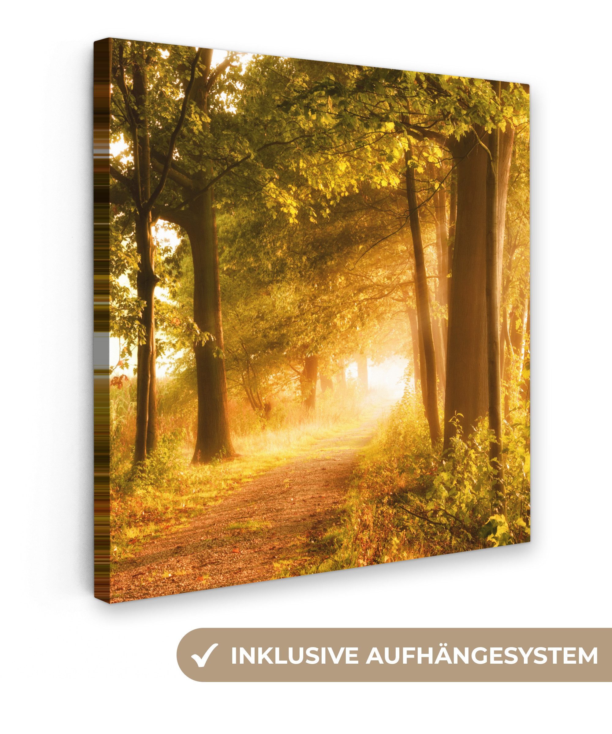 OneMillionCanvasses® Leinwandbild Wald - Bäume - Sonnenlicht - Herbst - Weg günstig online kaufen