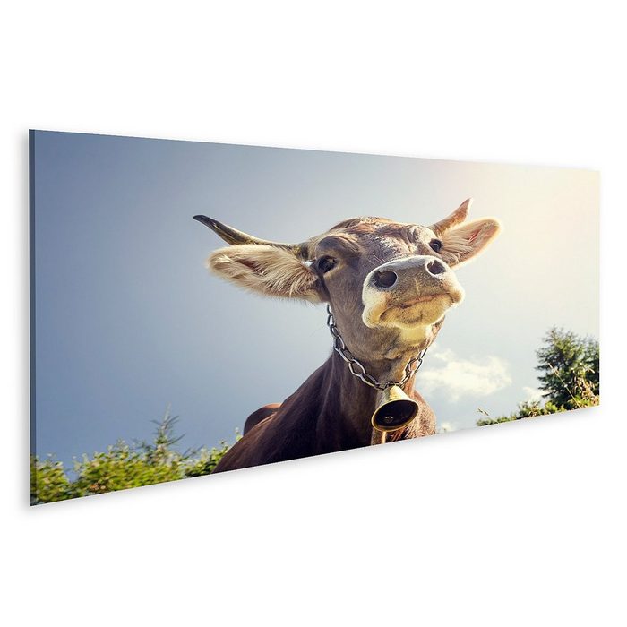islandburner Leinwandbild Bild auf Leinwand Porträt einer Kuh mit einer Glocke Wandbild Poster K