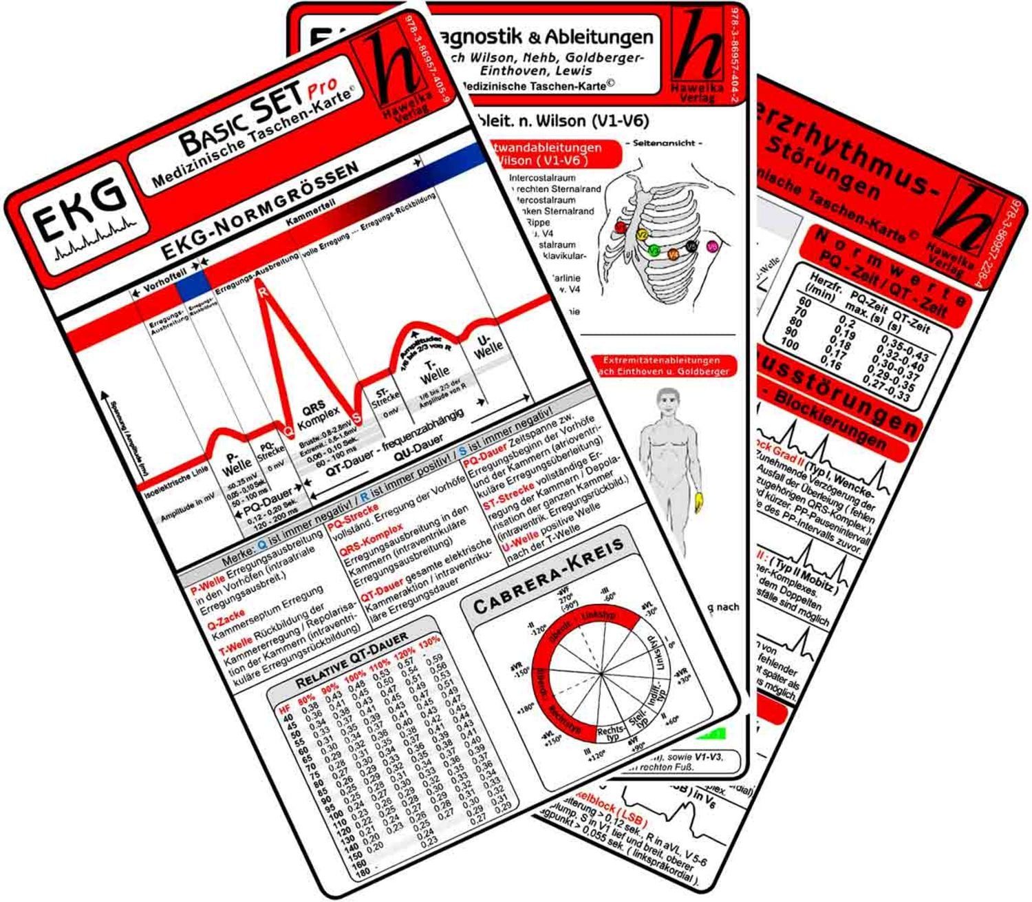 EKG Basic Set - PRO (3er Set) 2025 - Medizinische Taschen-Karte / diverse