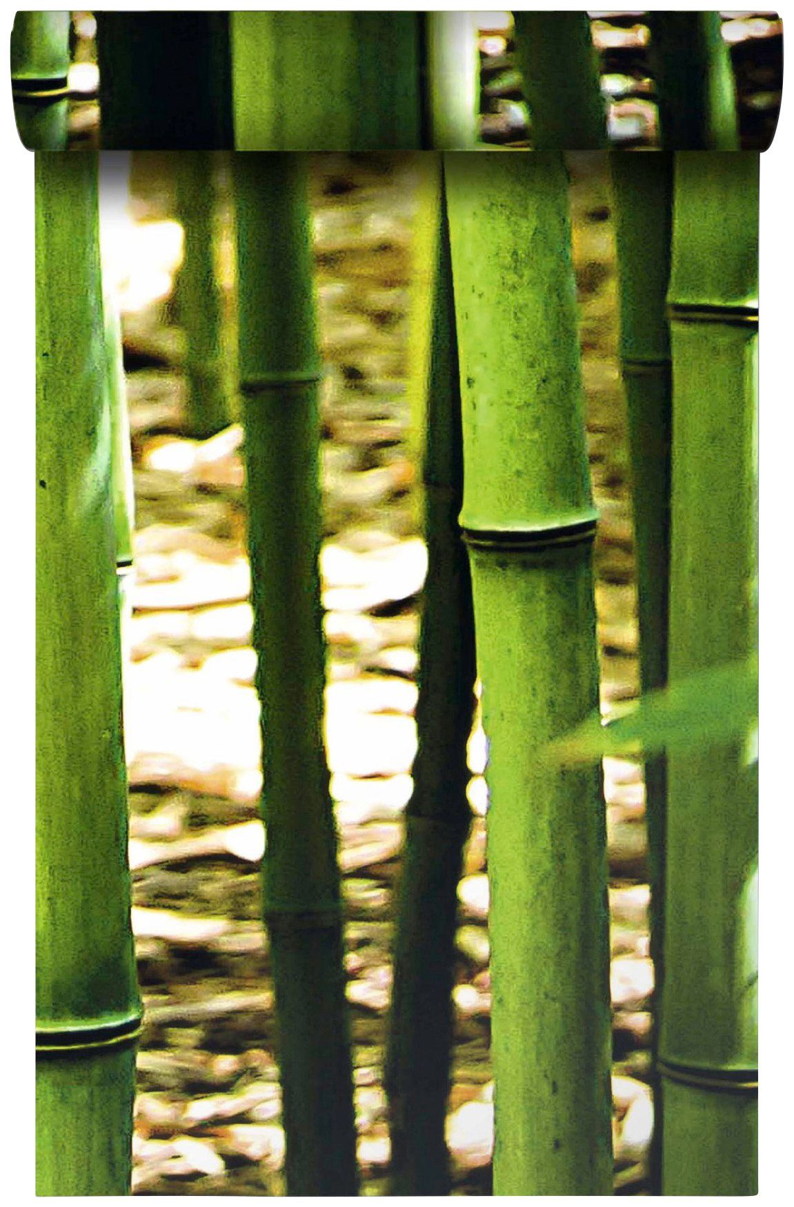 Bodenmeister Fototapete »Bambus-Wald grün«-kaufen