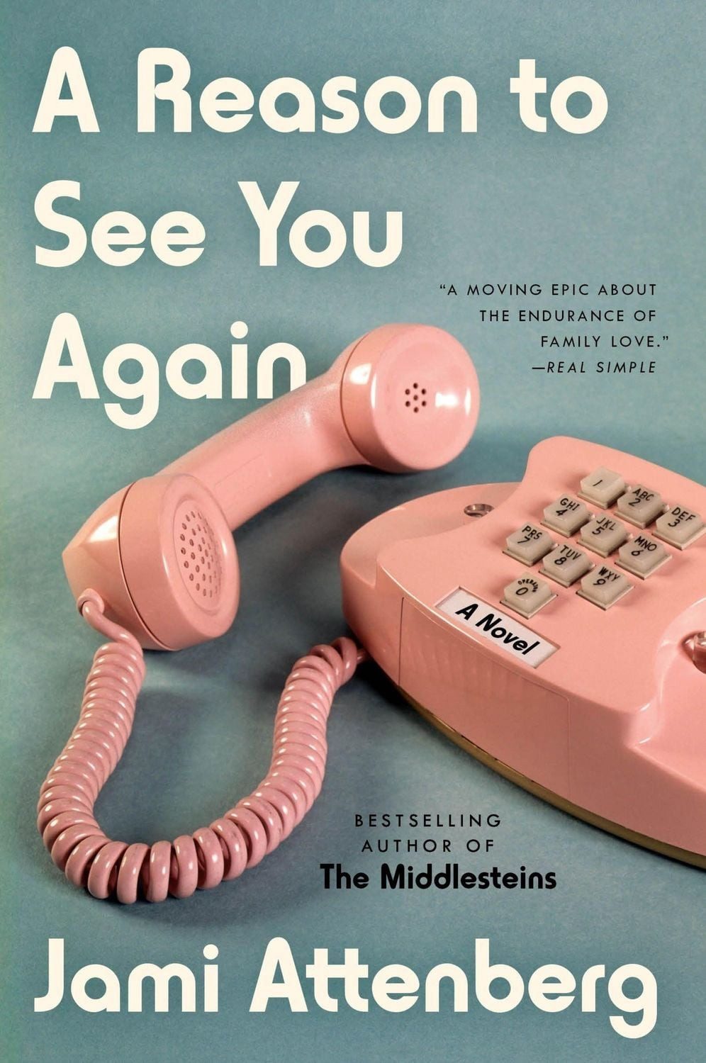 Reason to See You Again, A / Jami Attenberg, A Novel