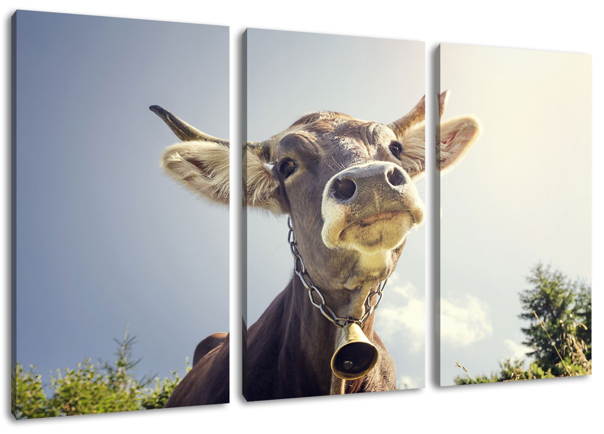 Pixxprint Leinwandbild Lustiges Portrait einer Kuh, Lustiges Portrait einer Kuh 3Teiler (120x80cm) (1 St), Leinwandbild fertig bespannt, inkl. Zackenaufhänger