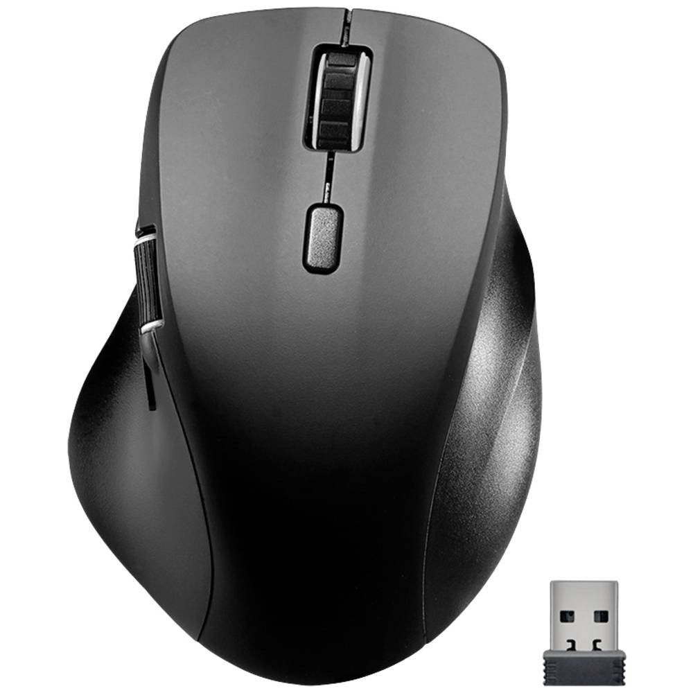 Maus Mäuse