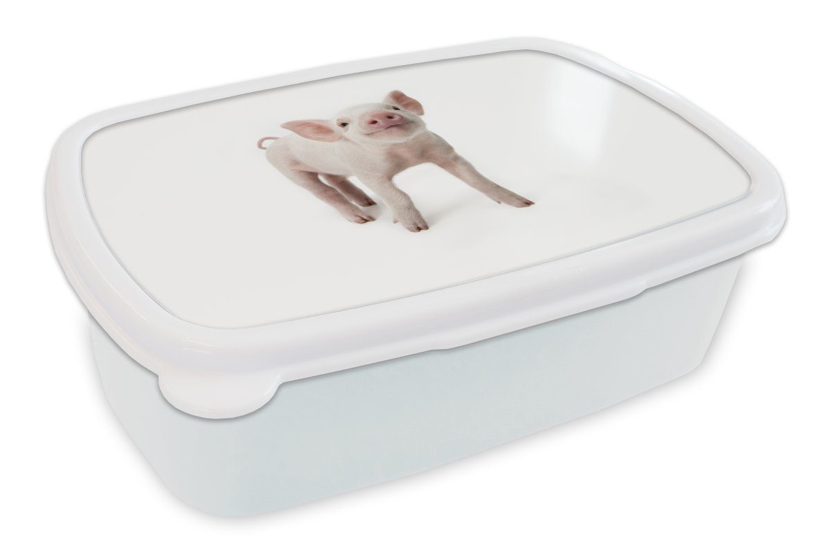 MuchoWow Lunchbox Schwein - Tiere - Weiß, Kunststoff, (2-tlg), Brotbox für Kinder und Erwachsene, Brotdose, für Jungs und Mädchen