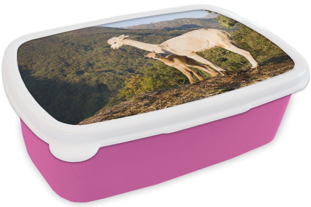 Lunchbox Brotbox Kinder, Kunststoff Berge (2-tlg), für Natur, MuchoWow - Erwachsene, Alpakas rosa Mädchen, Snackbox, Brotdose - Kunststoff,