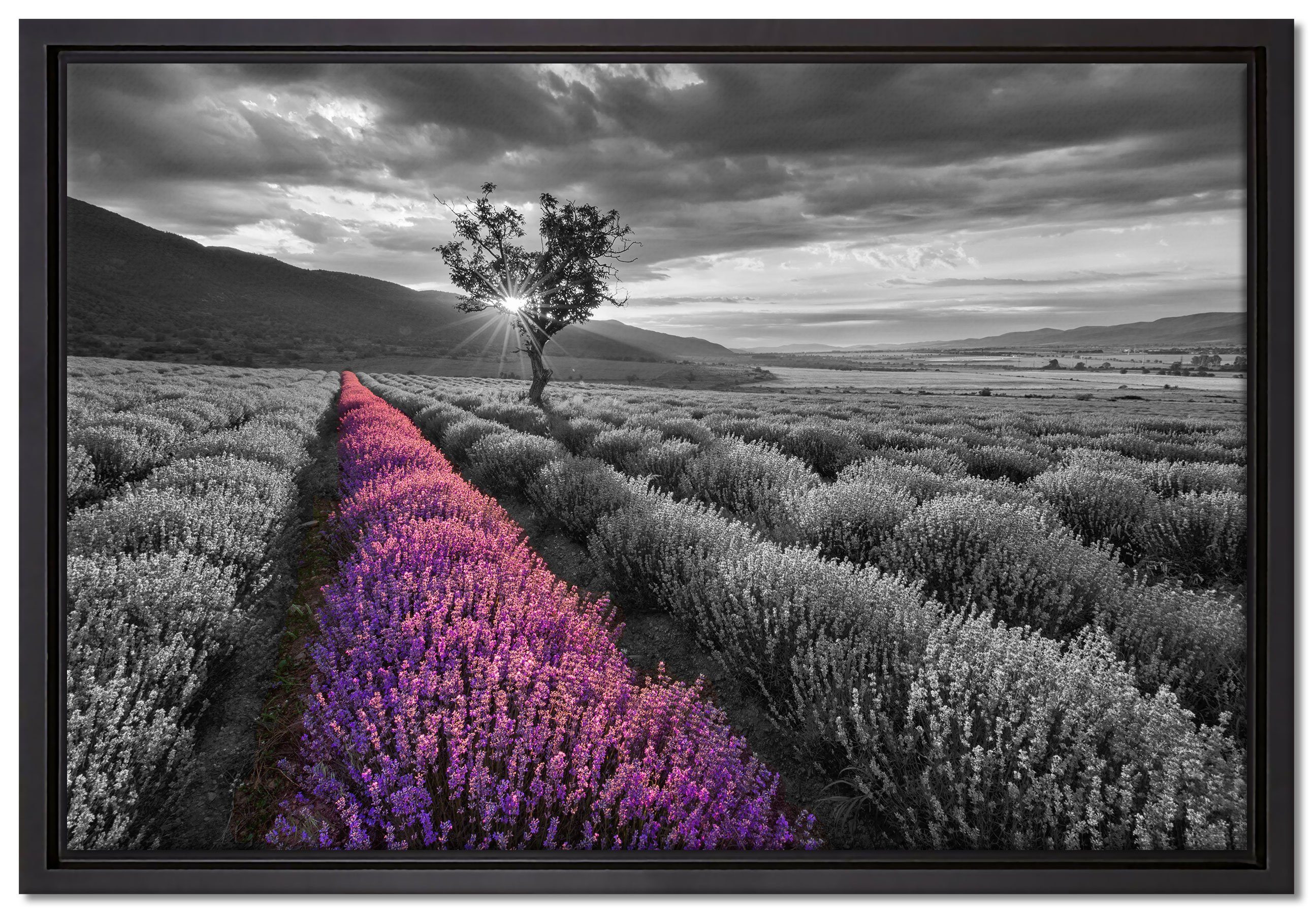 Pixxprint Leinwandbild Lavendelfeld mit Baum, Wanddekoration (1 St), Leinwandbild fertig bespannt, in einem Schattenfugen-Bilderrahmen gefasst, inkl. Zackenaufhänger