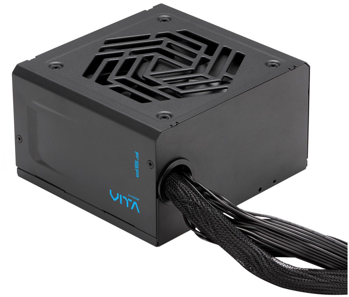 Fortron VITA BD 650W Netzteil