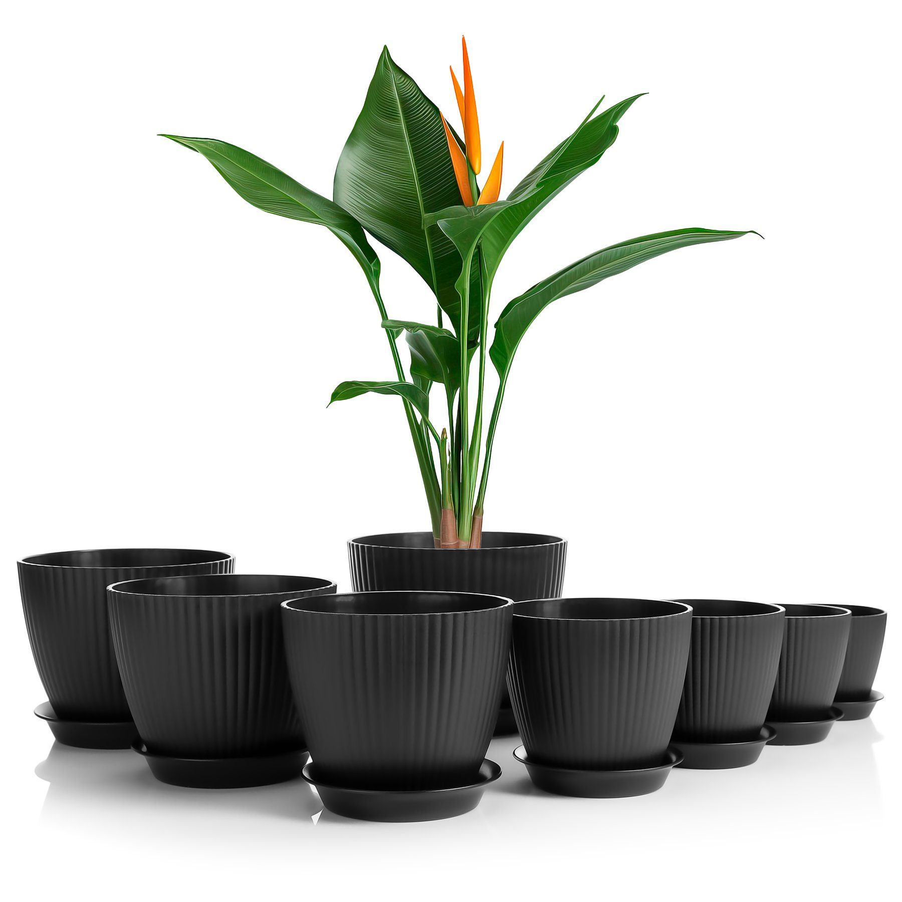 BigDean Blumentopf 8er Set Blumentopf in günstig online kaufen
