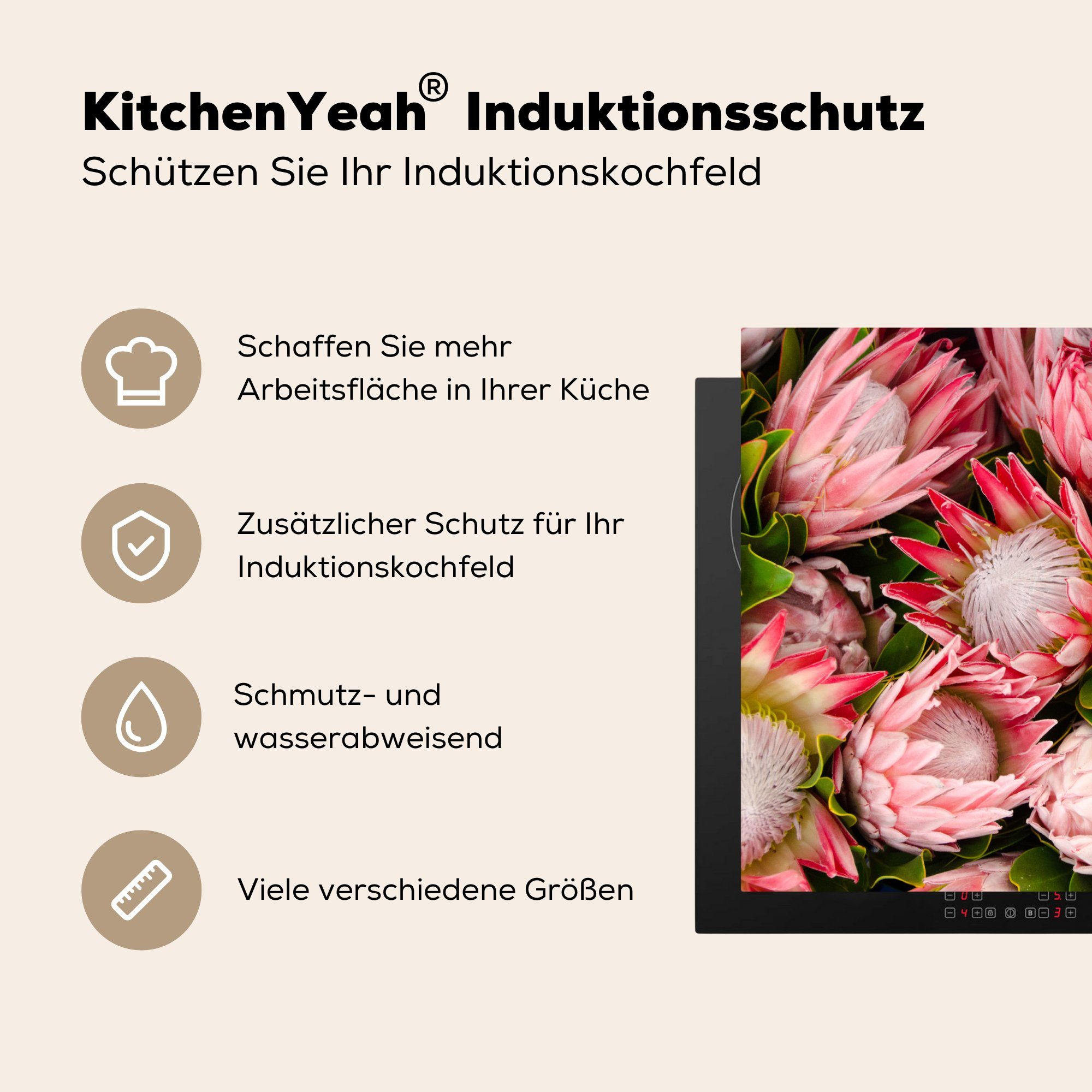 MuchoWow Herdblende-/Abdeckplatte Blumen - Arbeitsfläche Rosa nutzbar, (1 Protea, Ceranfeldabdeckung Vinyl, Mobile - tlg), cm, 60x52