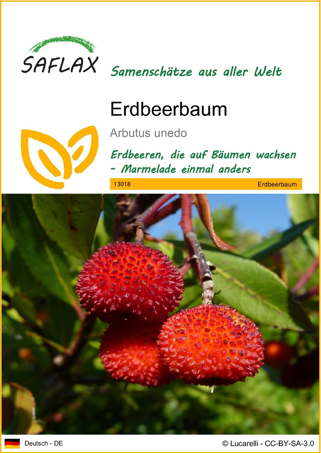 SAFLAX Blumensamen SAFLAX - Samen - günstig online kaufen