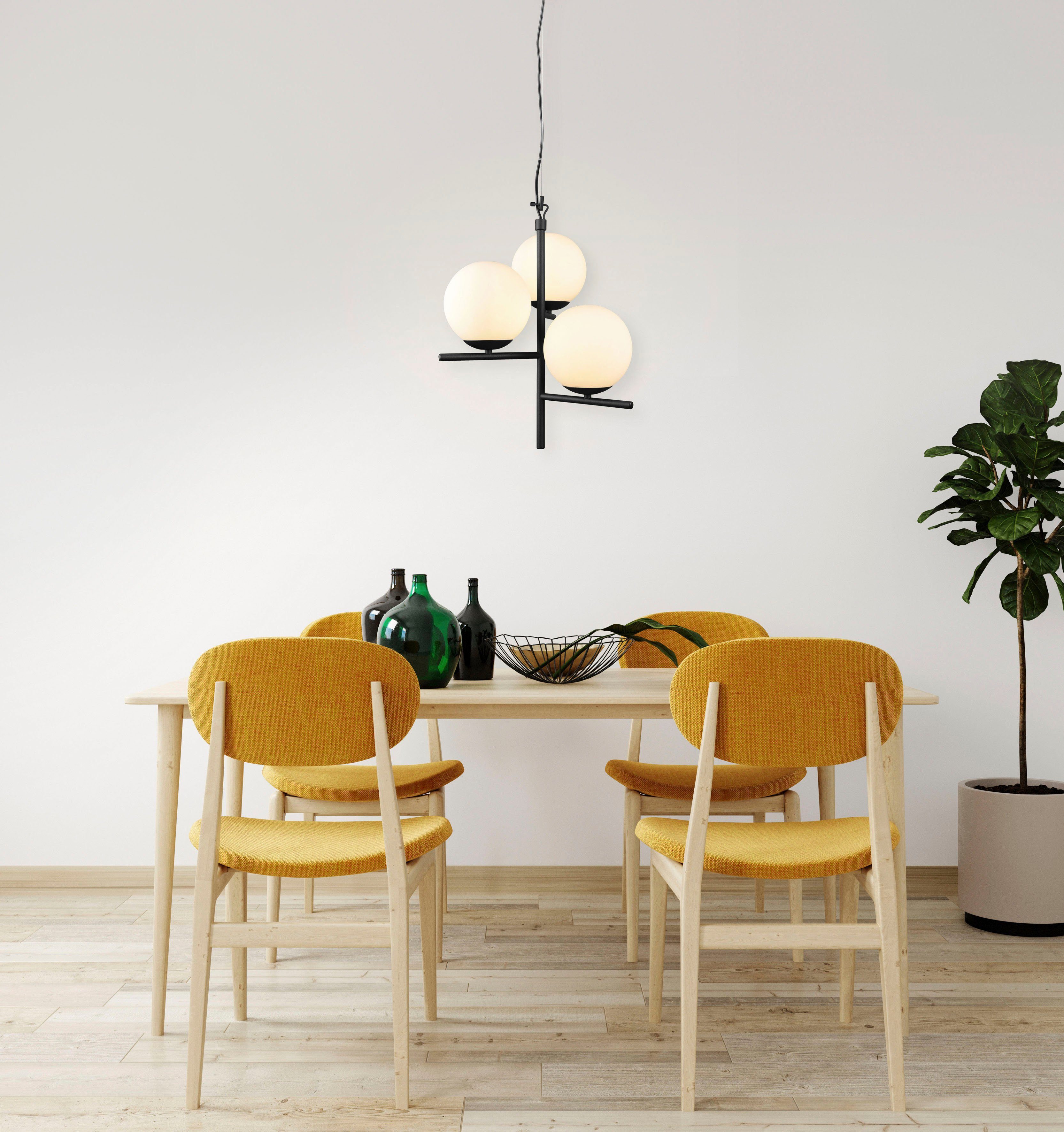 TRIO Leuchten Pendelleuchte Pure, ohne Leuchtmittel, günstig online kaufen