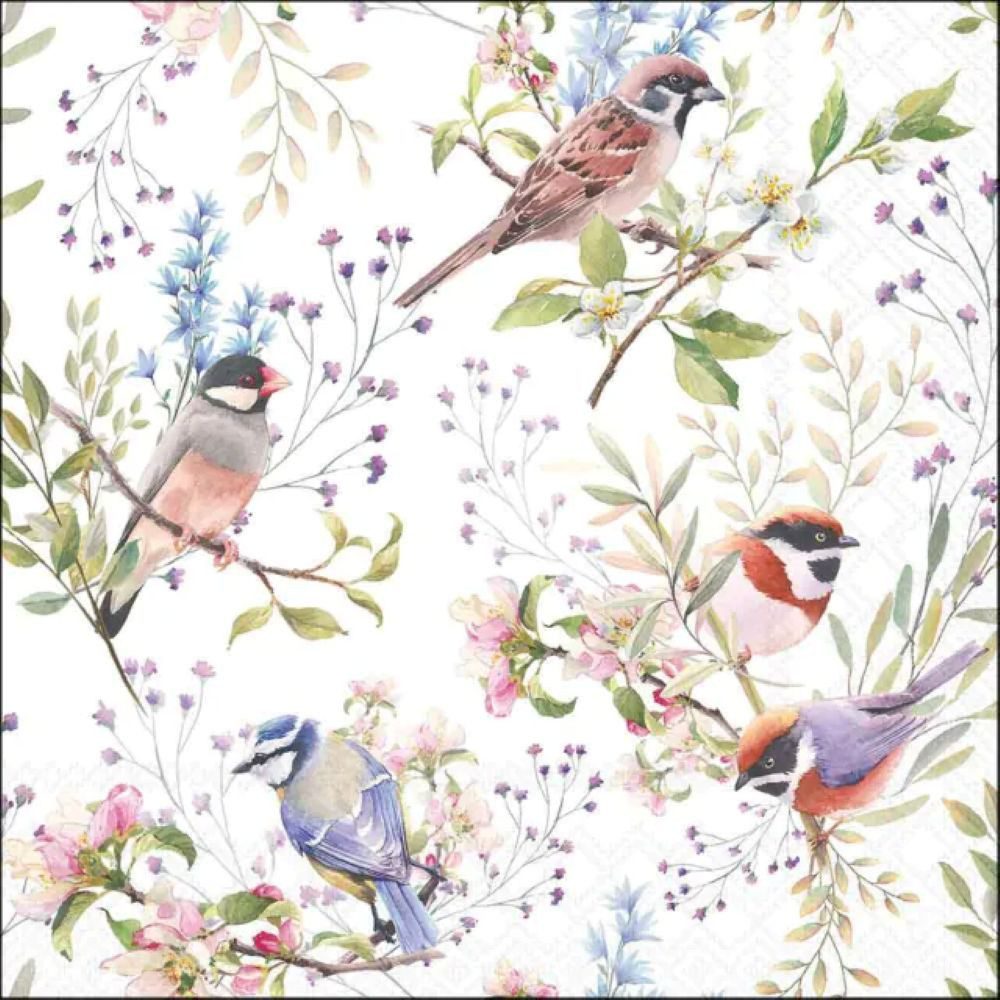 Ambiente Luxury Paper Products Kaffeeservice Blumen - Pflanzen, Tiere, Vögel, Vogel, Vogelmotiv- Blumenmotiv (20-tlg), Tissue: 3-lagig, 100% FSC, chlorfrei gebleicht, Farben auf Wasserbasis - Auch für Decoupage und Serviettentechnik 33x33cm - und Frühstück, Kaffeetafel, Gartenfest oder als dekorativer Blickfang im Alltag, Ideal für Geschenk, Kaffeetafel, Gartenfest, Tischdeko