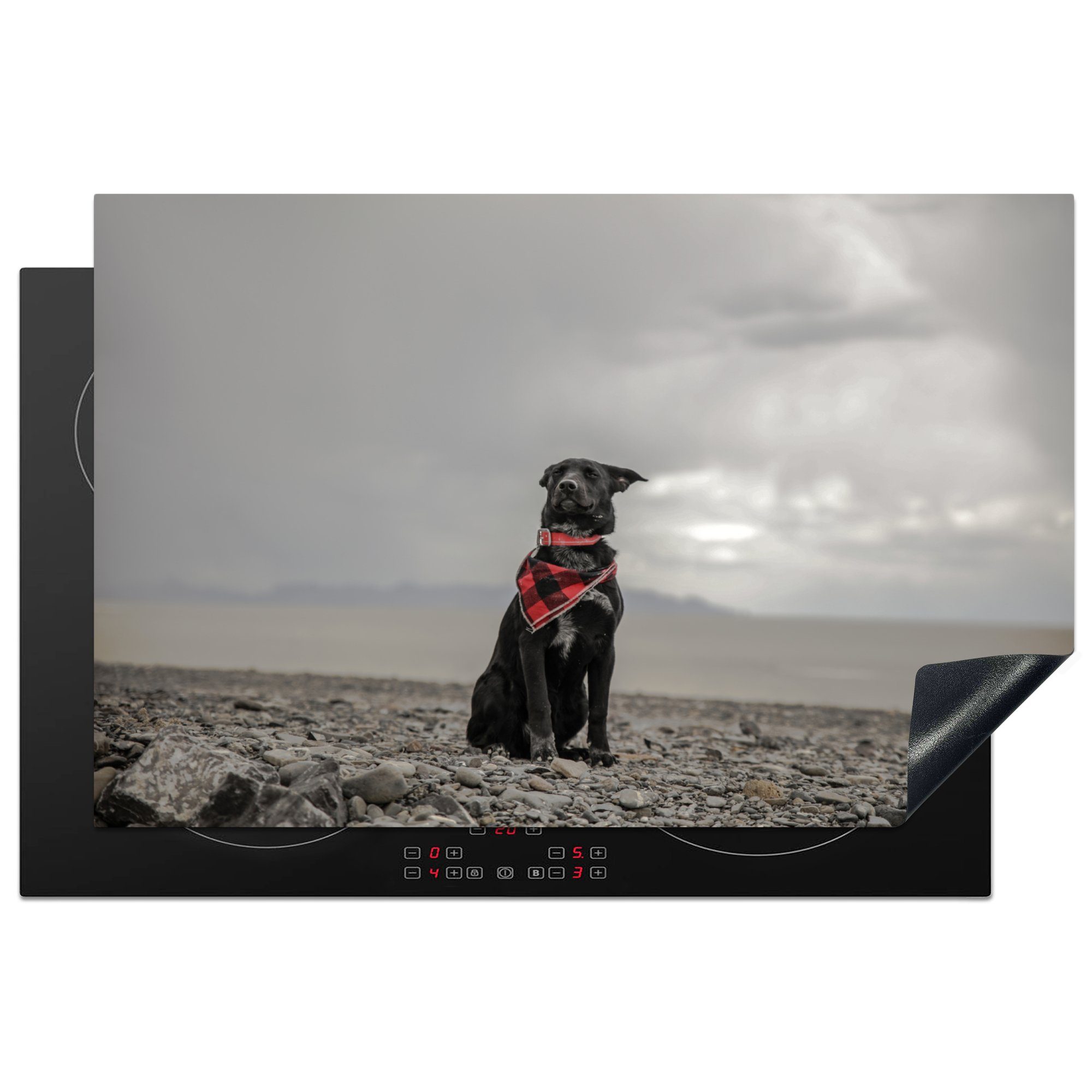 Hund (1 Wolke, MuchoWow Induktionskochfeld für die Ceranfeldabdeckung Strand tlg), Herdblende-/Abdeckplatte - Schutz 81x52 cm, - küche, Vinyl,