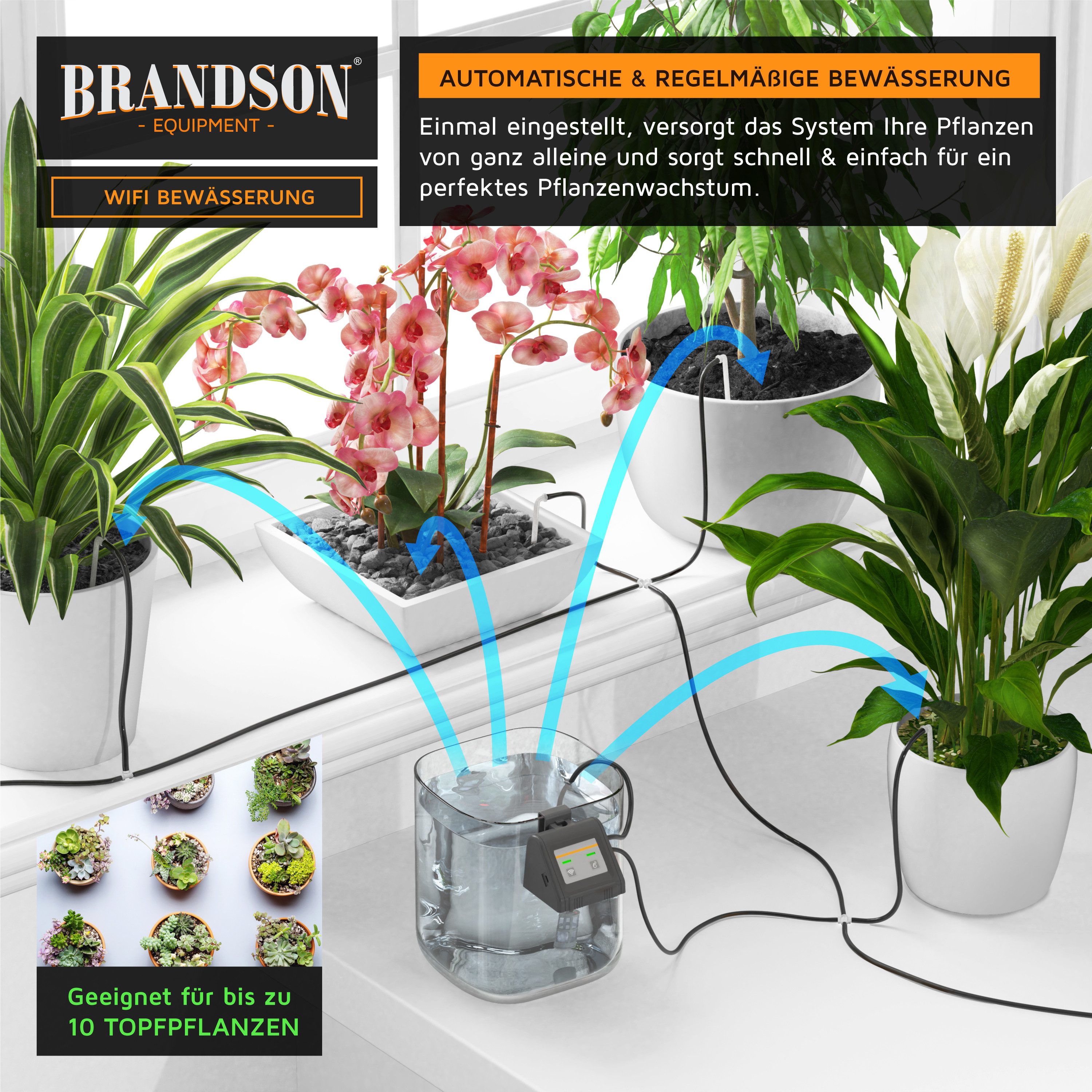 Brandson Bewässerungssteuerung Bewässerungssystem Wlan Wifi mit App, einstellbares Wasservolumen, 2,4 Ghz, automatische Tropfbewässerung für max 10 Pflanzen, Hydroponik