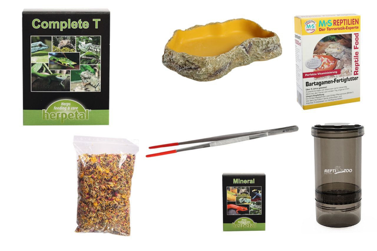M&S Reptilien Terrarium BARTAGAME Ernährungsset inkl. Vitaminpräparate und Zubehör