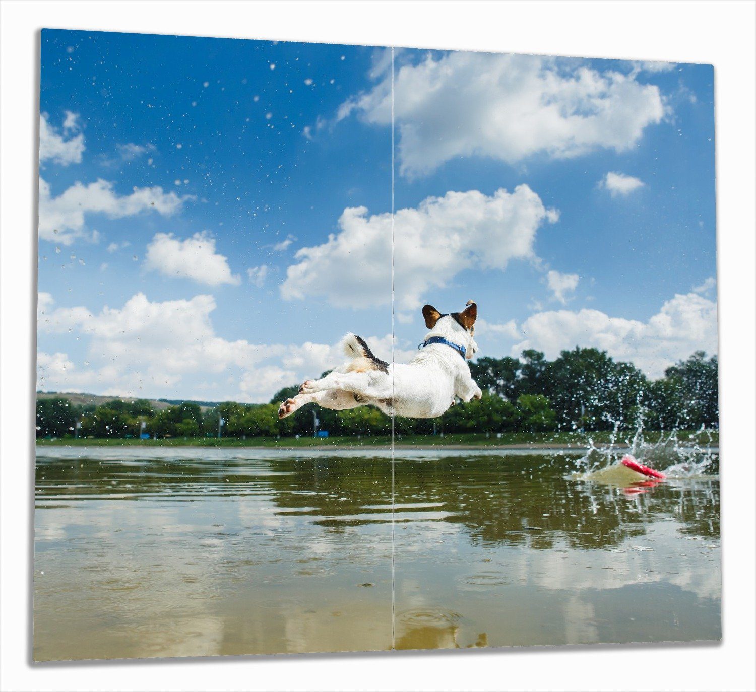 Wallario Herd-Abdeckplatte Jack Russel Terrier im Wasser, ESG-Sicherheitsglas, (Glasplatte, 2 tlg., inkl. 5mm Noppen), verschiedene Größen