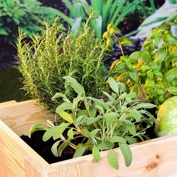 GartenHero Hochbeet Hochbeet Holz Pflanzkiste Blumenkasten Pflanzenbeet Kräuterbeet Blumen Beet (1 St)