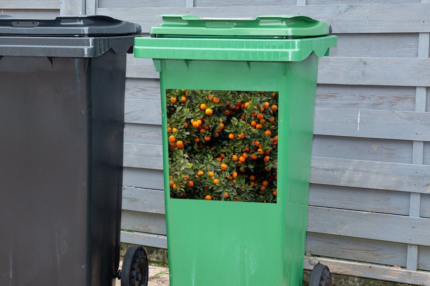 - (1 Wandsticker Abfalbehälter Container, Mülleimer-aufkleber, MuchoWow St), - Frucht Sticker, Mülltonne, Orange Baum