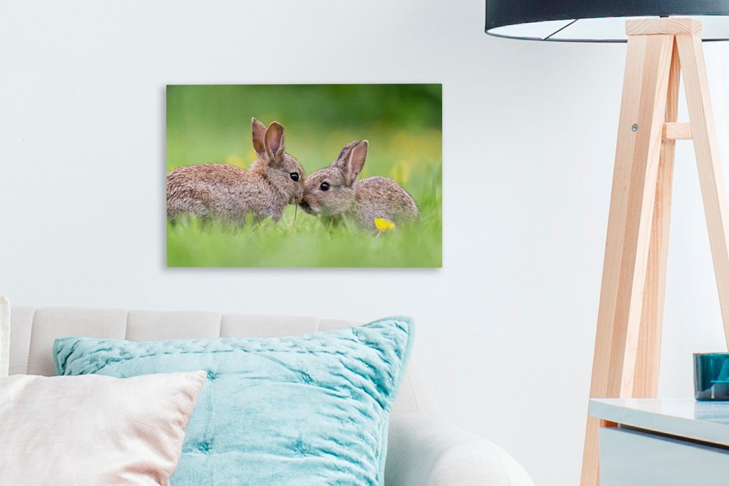 Leinwandbilder, (1 cm Wandbild Wanddeko, Aufhängefertig, mit Zwei gegeneinander, 30x20 St), Kaninchen OneMillionCanvasses® Leinwandbild Schnauzen ihren