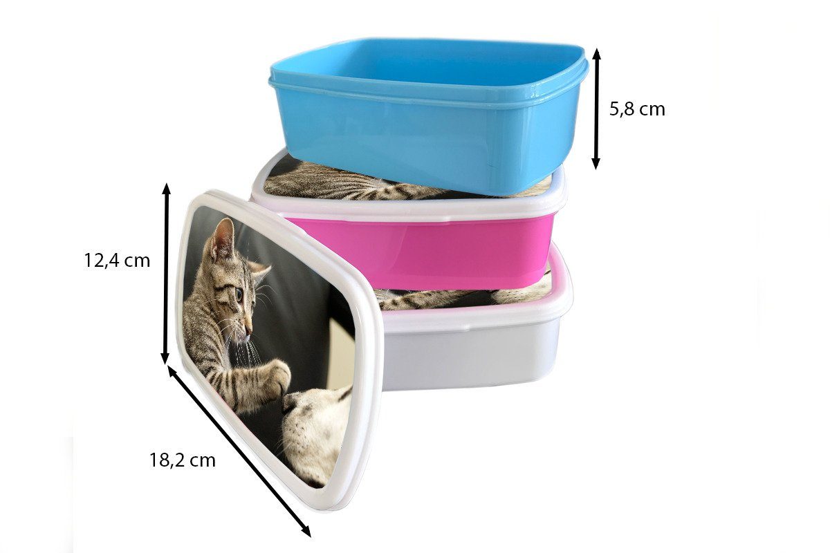 Hund (2-tlg), Brotbox Kunststoff, MuchoWow Snackbox, Pfote, Brotdose für Erwachsene, - - Katze rosa Lunchbox Kunststoff Mädchen, Kinder,