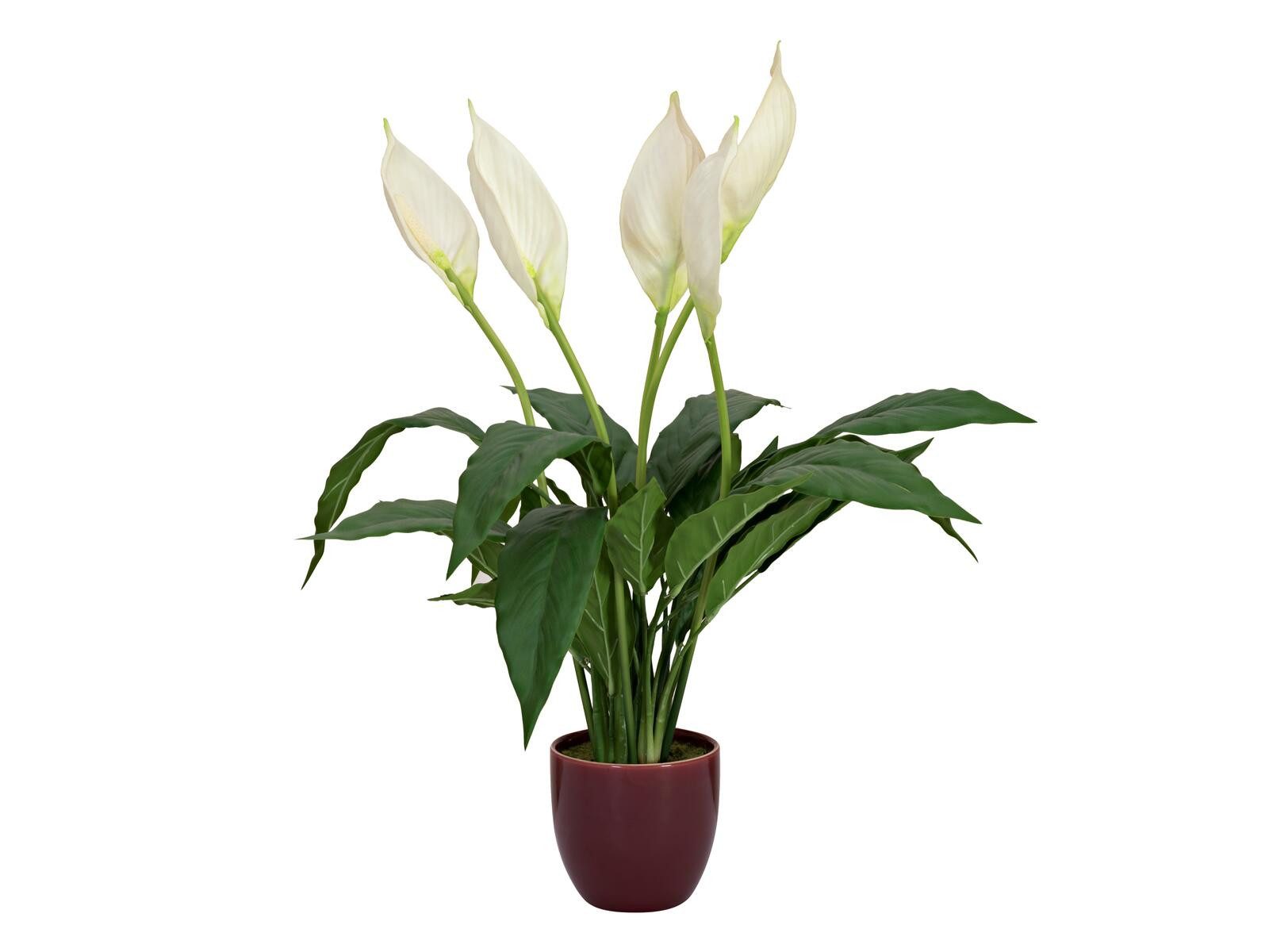 Kunstpflanze EUROPALMS Einblatt, Kunstpflanze, 60cm