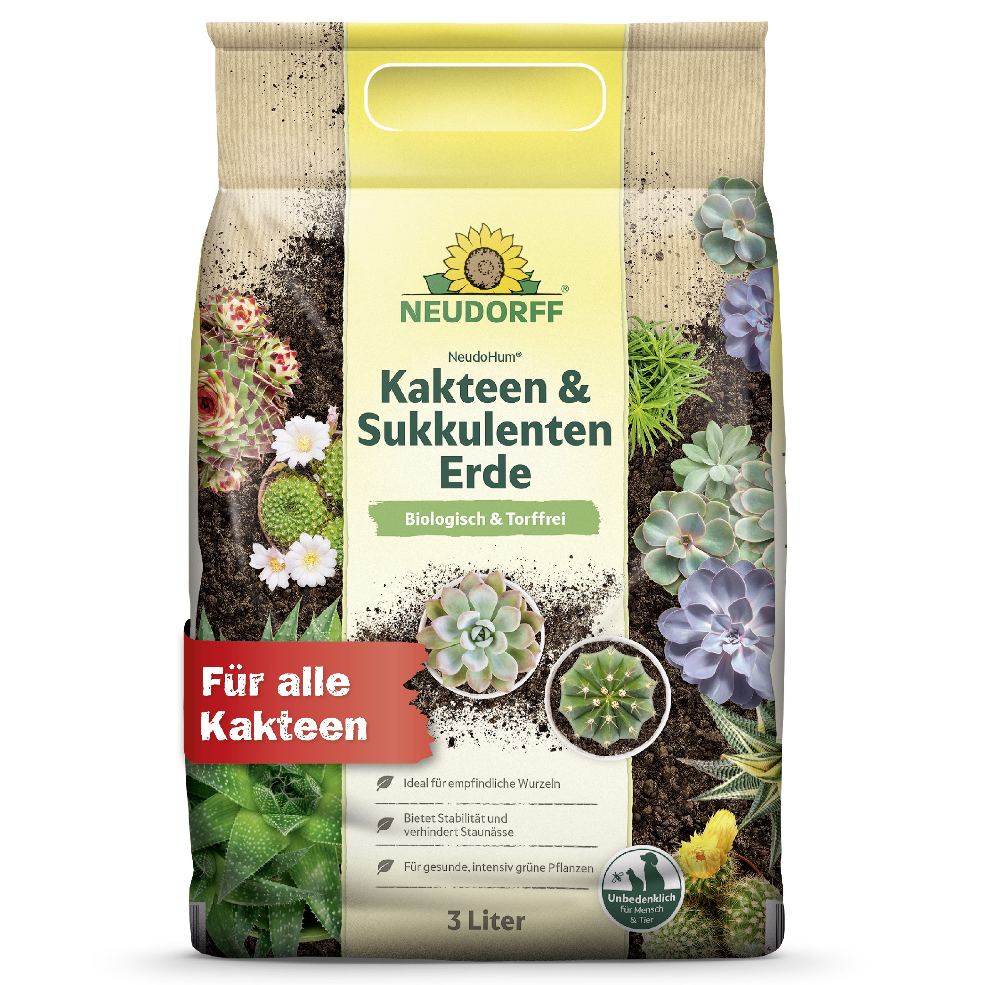 Neudorff Spezialerde NeudoHum Kakteen- & SukkulentenErde 3 Liter, mit Organische Grunddüngung, (Einzelartikel, Für gesunde, intensiv grüne Pflanzen), Ideal für empfindliche Wurzeln, stabiler Halt ohne Staunässe
