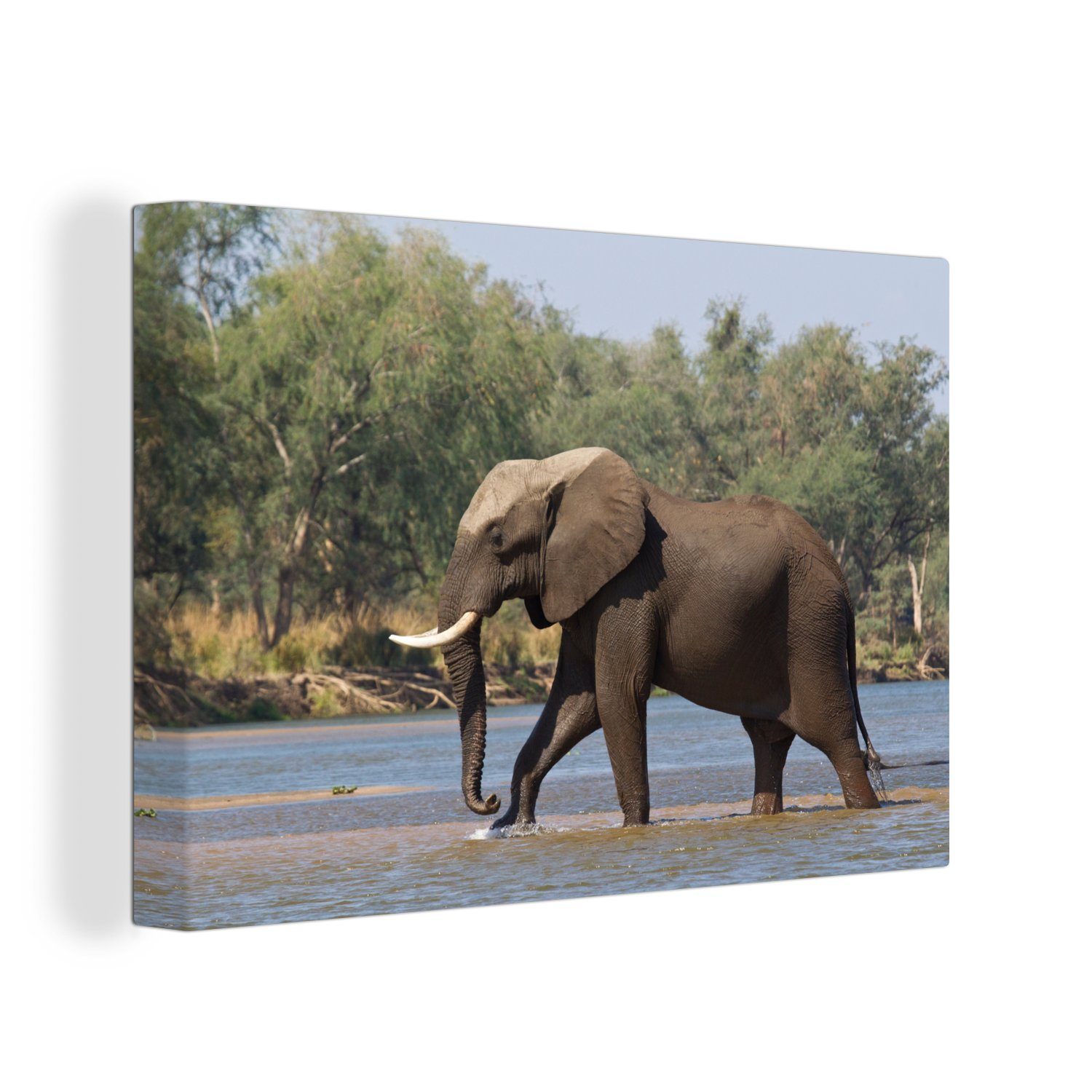 Beliebte Artikel OneMillionCanvasses® Leinwandbild Ein Elefant überquert Leinwandbilder, Sambesi-Fluss Lower Wandbild Park, (1 30x20 Aufhängefertig, cm im National Wanddeko, Zambezi den St)