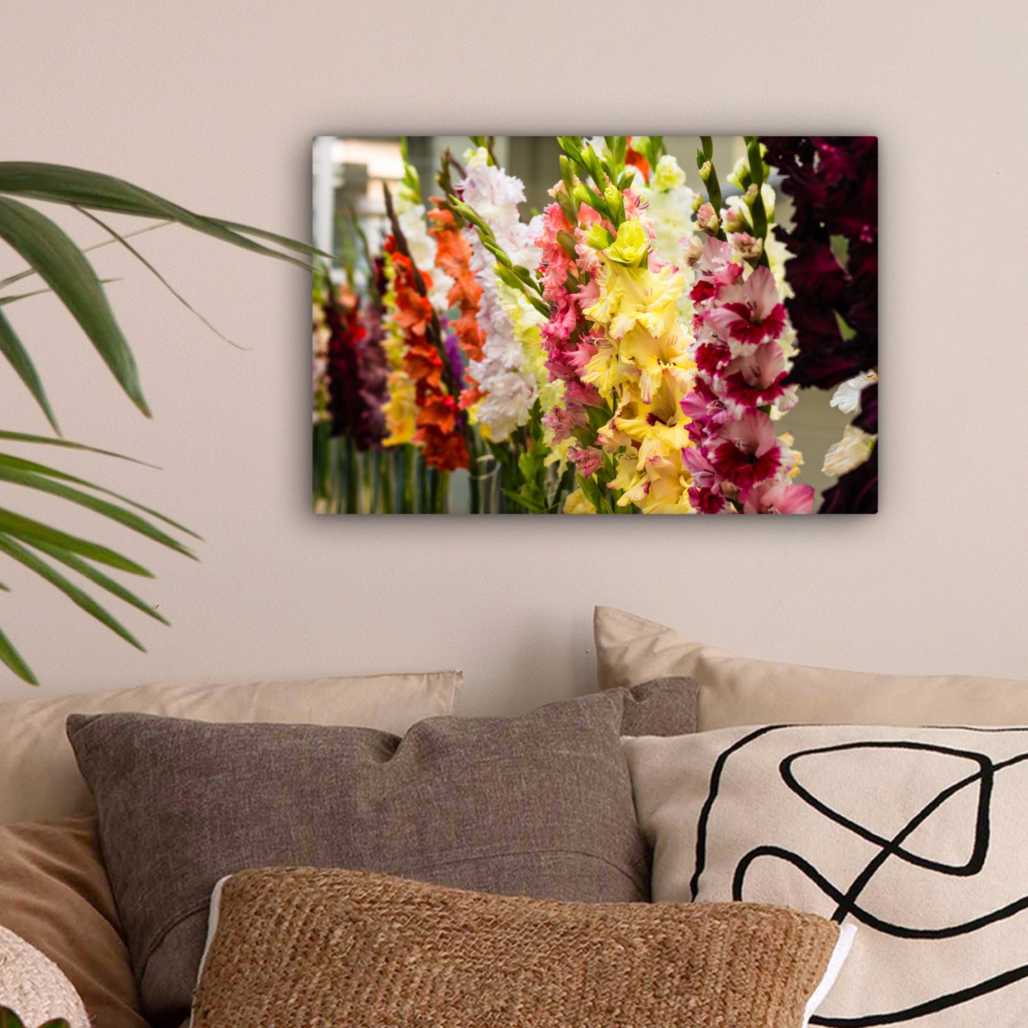 Leinwandbild cm - Wanddeko, 30x20 Gladiolen St), - Wandbild Aufhängefertig, (1 OneMillionCanvasses® Farben, Leinwandbilder, Blumen
