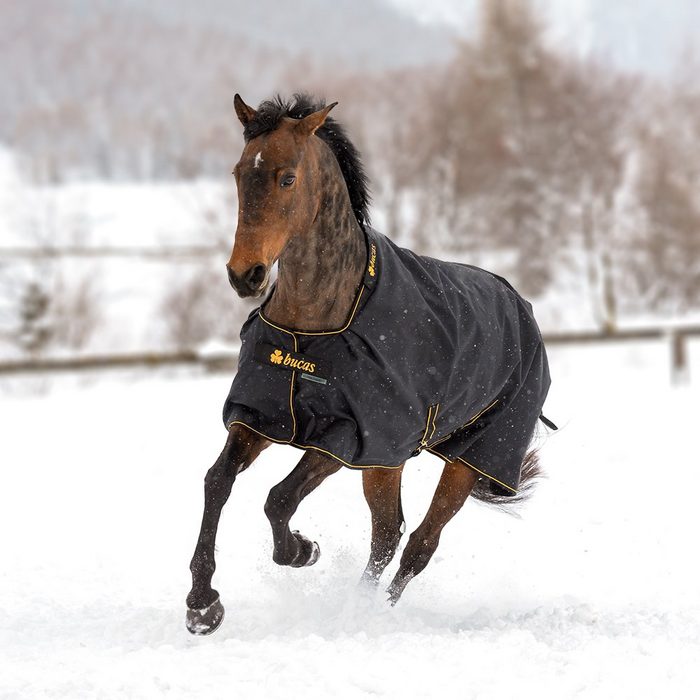 Bucas Pferde-Thermodecke Bucas Irish Turnout Extra 300g Pony 1200D - black/gold