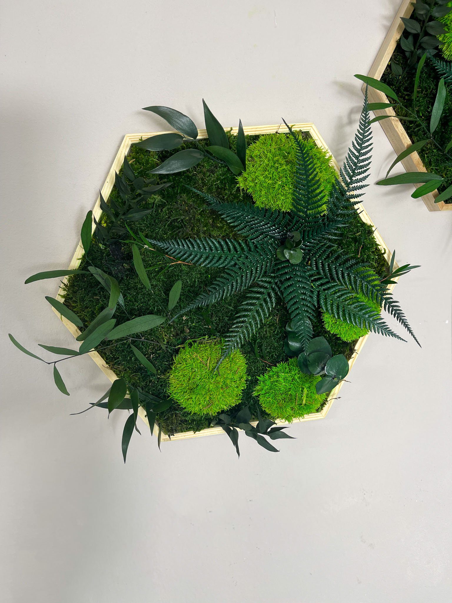 Gedankenwunder Manufaktur Bild Kleine Dschungelblume & Pflanzen Moosbild He günstig online kaufen