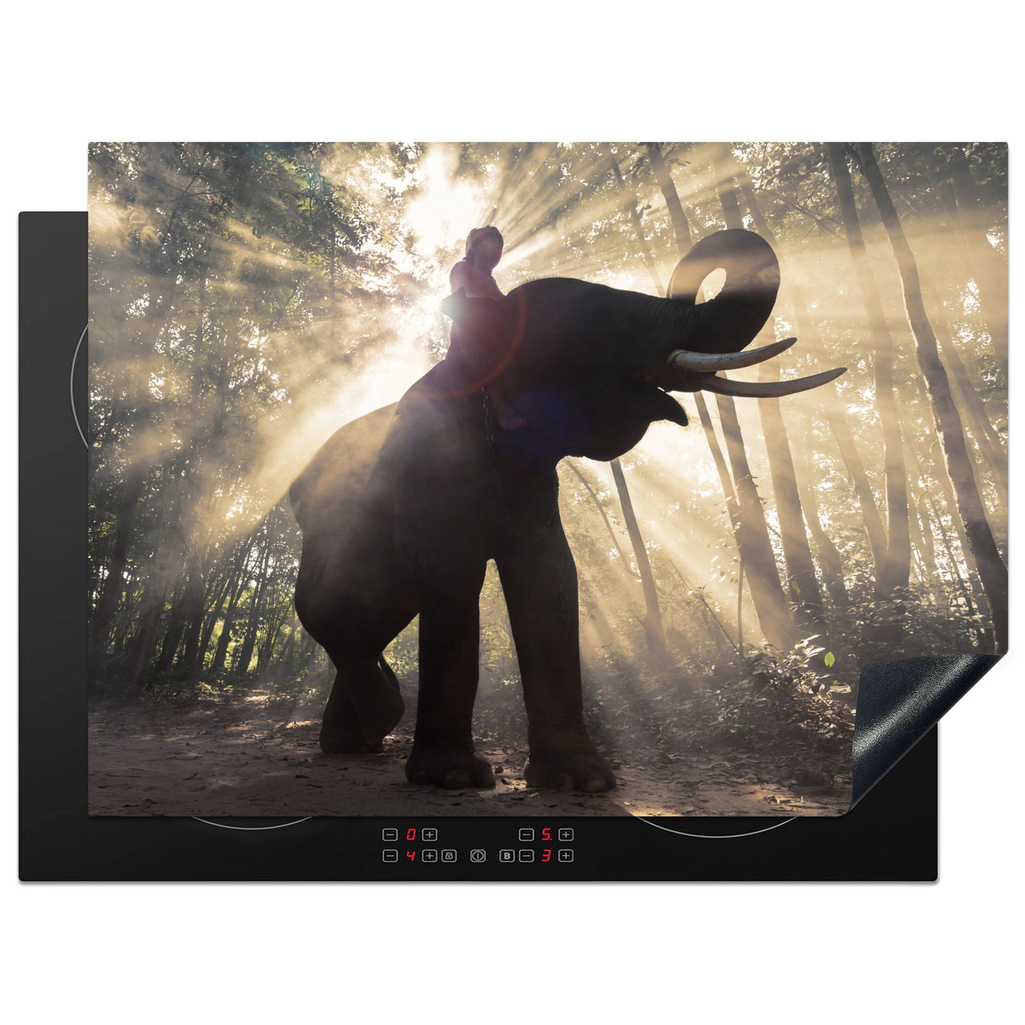 MuchoWow Herdblende-/Abdeckplatte Elefant mit Person in hellem Sonnenlicht, Vinyl, (1 tlg), 70x52 cm, Mobile Arbeitsfläche nutzbar, Ceranfeldabdeckung