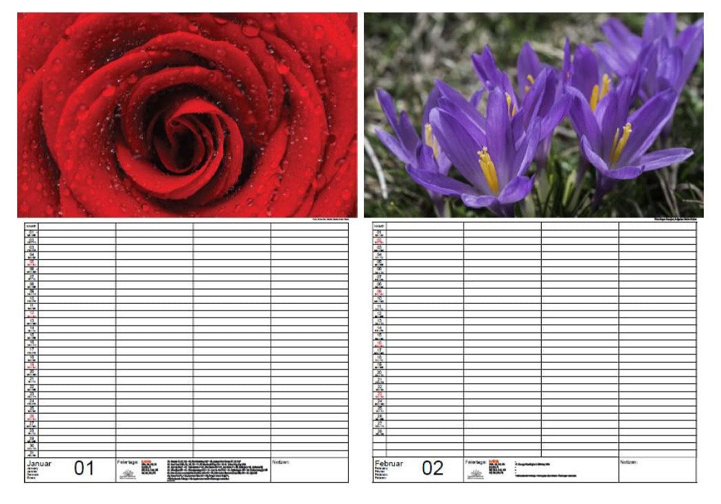 Thumbnail - Seelenzauber Familienkalender Blumenzauber Familien Planer Kalender für 2025 DIN A3 Blumen Blüten
