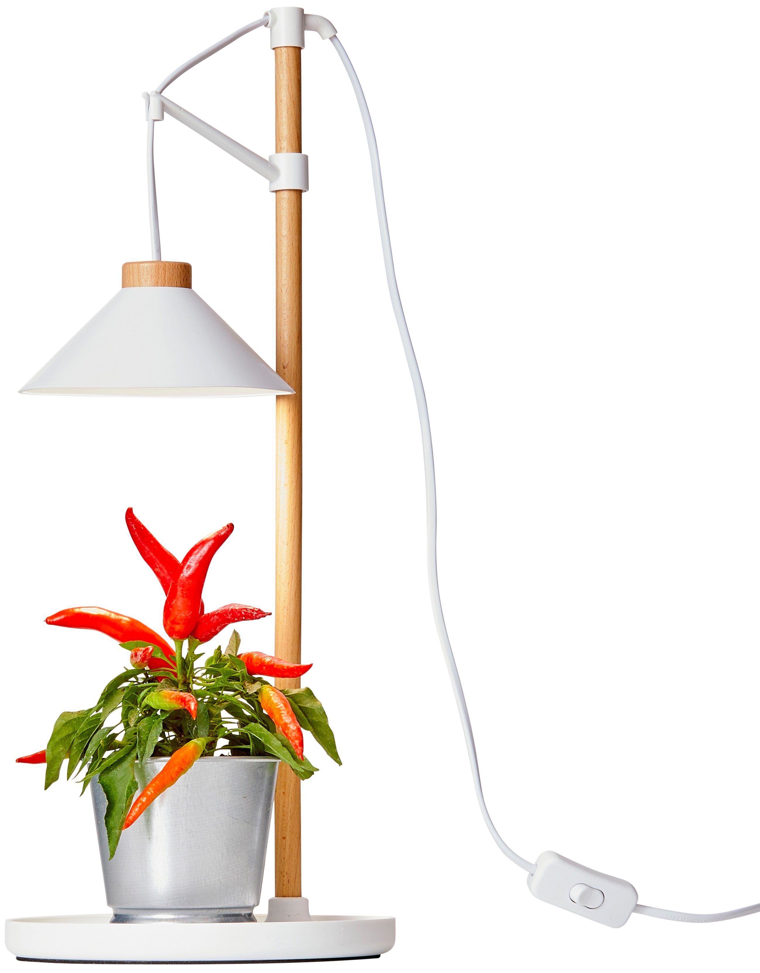 Northpoint Pflanzenlampe LED Pflanzenleuchte Kräutergarten aus Echtholz 9W günstig online kaufen