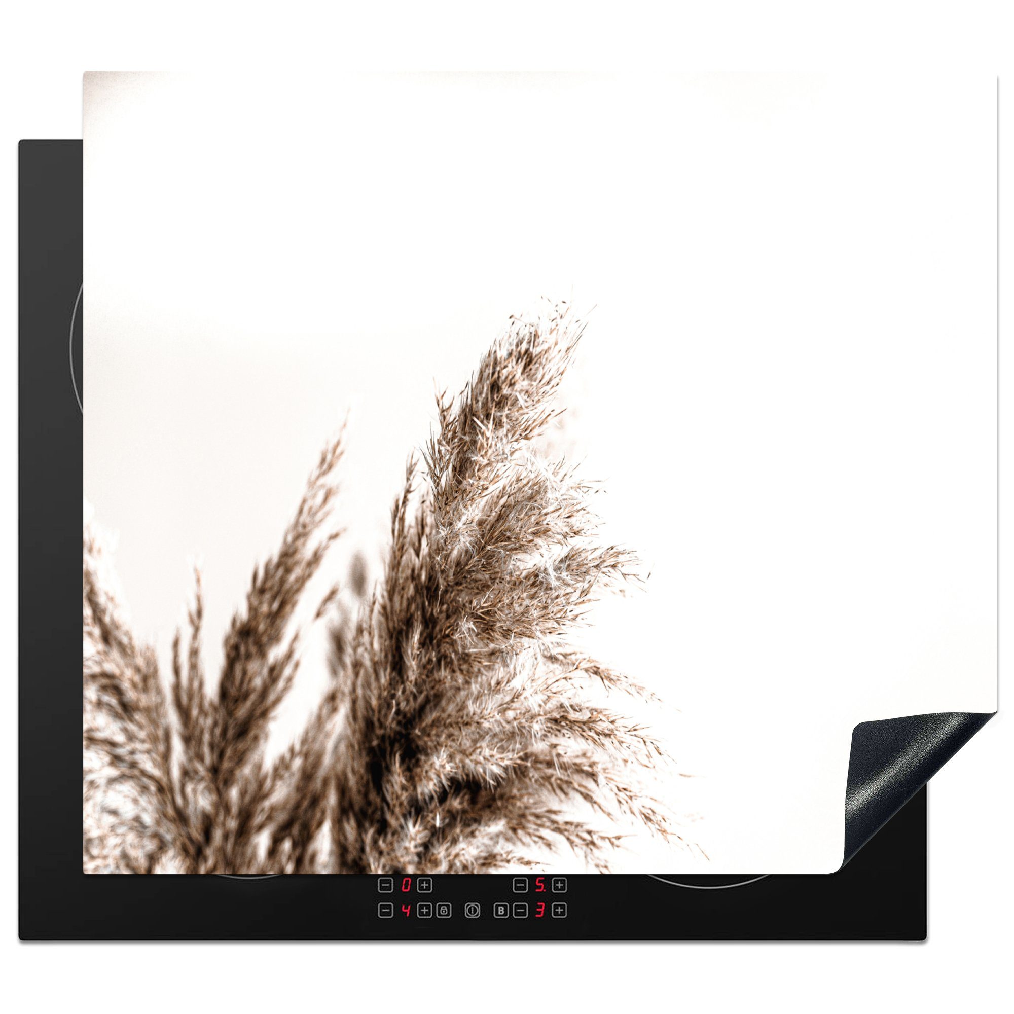 MuchoWow Herdblende-/Abdeckplatte Pampas-Federn - Natur - Pampasgräser, Vinyl, (1 tlg), 60x52 cm, Mobile Arbeitsfläche nutzbar, Ceranfeldabdeckung