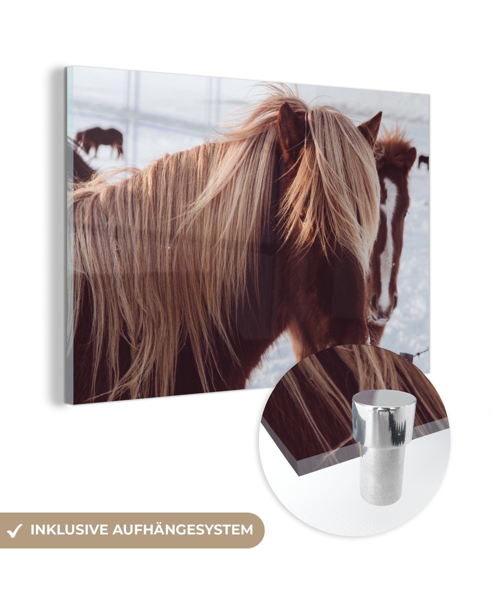 MuchoWow Acrylglasbild Pferde - Schnee - Braun, (1 St), Glasbilder - Bilder auf Glas Wandbild - Foto auf Glas - Wanddekoration