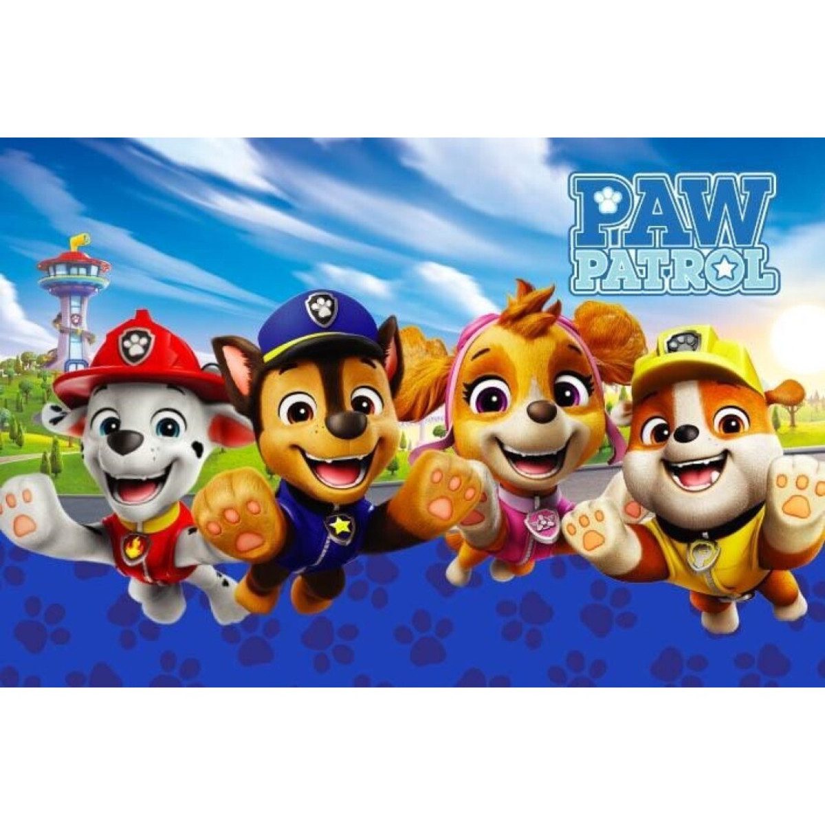 Aymax sprl Badematte PAW Patrol Badezimmer Teppich – Badematte 40x60 cm weich & saugfähig, Quadrad – Bild 3 von 3