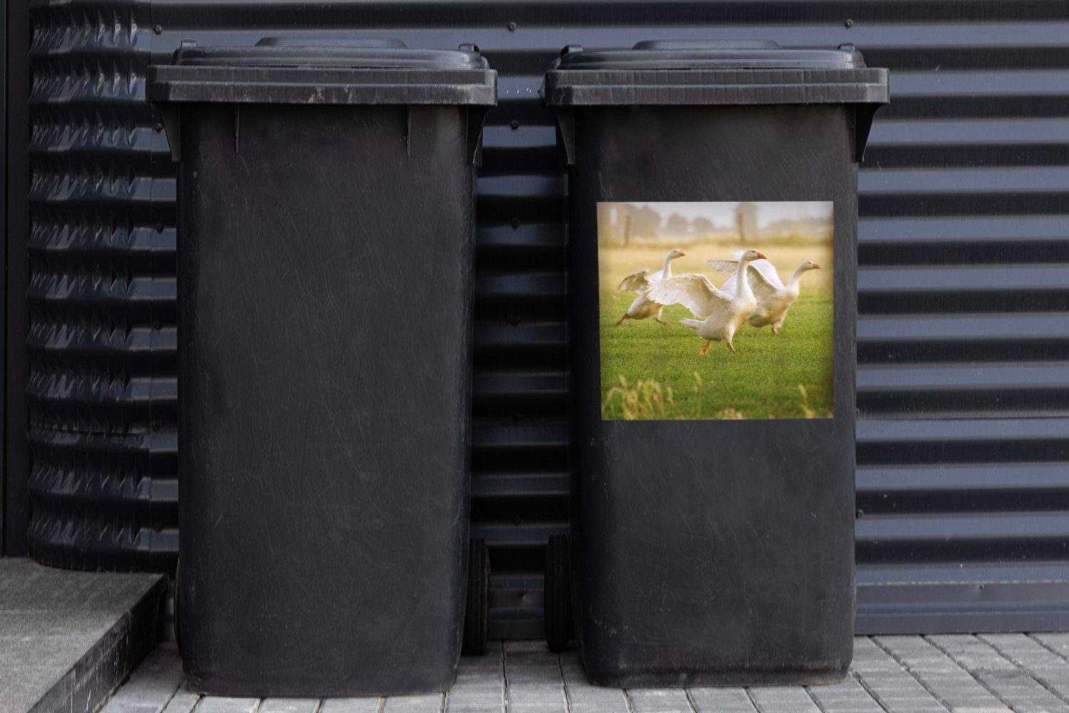 MuchoWow Wandsticker ihre breiten Sonnenlicht im Mülltonne, Gänse Mülleimer-aufkleber, (1 Drei Sticker, Abfalbehälter aus Flügel Container, St)