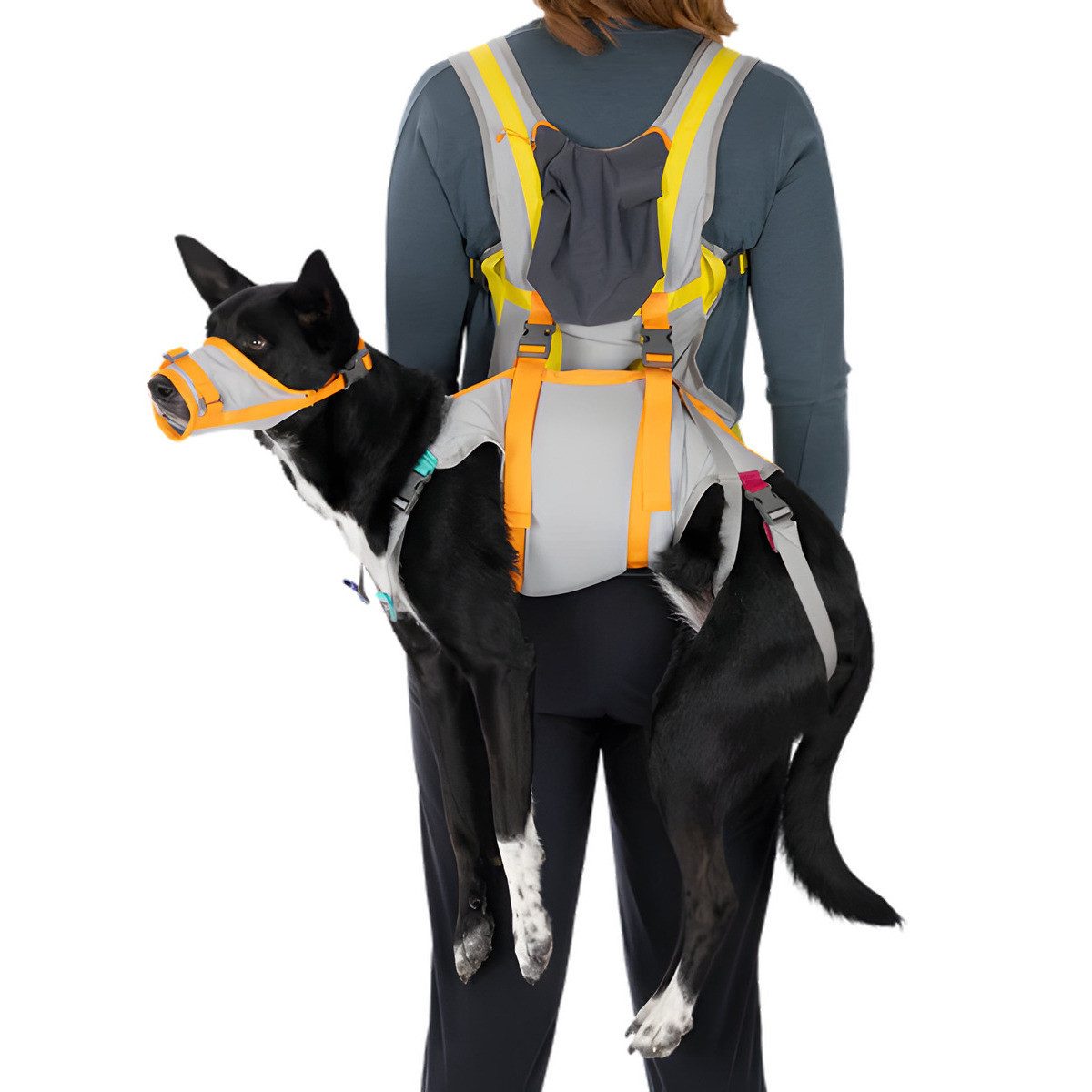 Ruffwear Sicherheitsgeschirr Notfallausrüstung BackTrak Dog Evacuation Kit günstig online kaufen