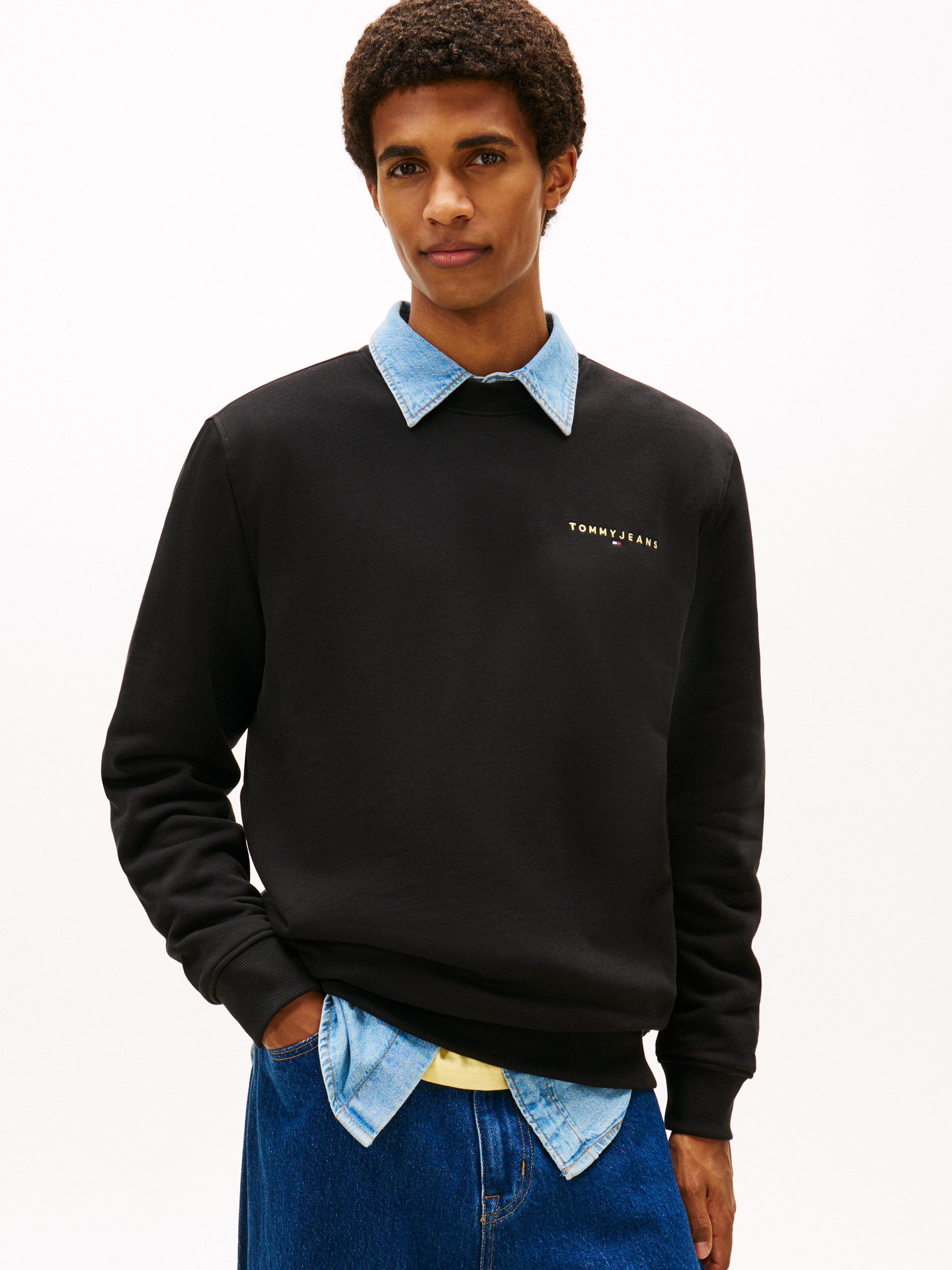 Tommy Jeans Sweatshirt TJM REG LINEAR günstig online kaufen