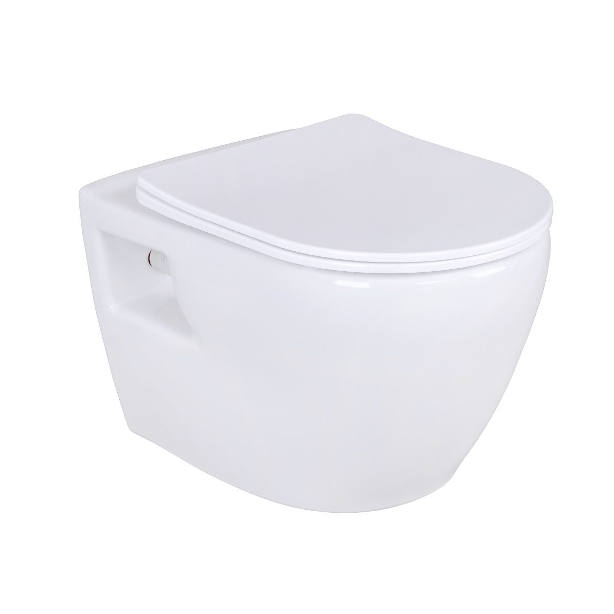Belvit WC-Komplettset mit Taharet / Bidet Funktion, verschiedene WCs in schwarz & weiß, (Spar-Set Spülrandloses Wand-WC), Softclose, Vorwandelement, Absperrventil & Hygienedusche