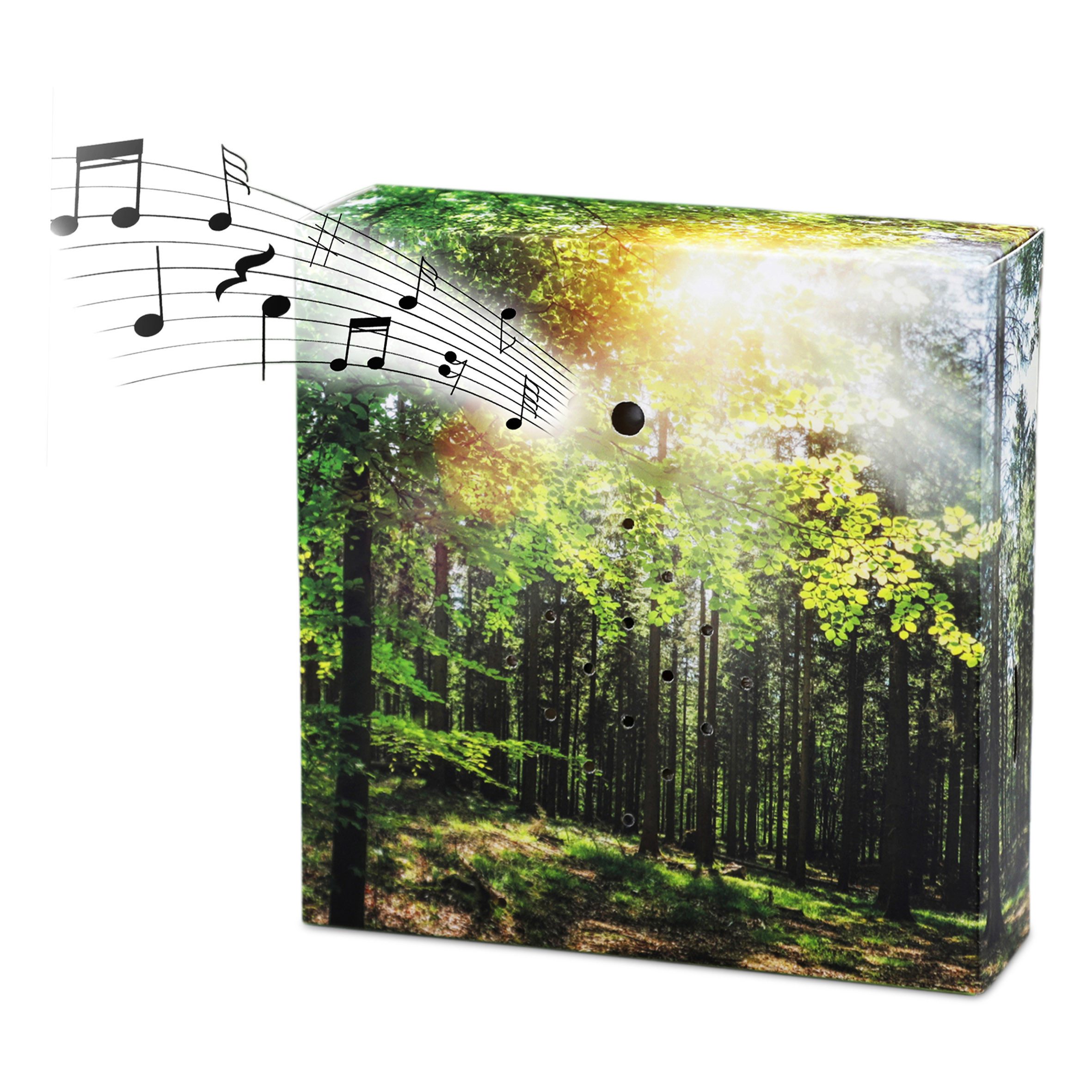 Spetebo Dekoobjekt Vogelgezwitscher Soundbox mit Waldgeräuschen 12 cm (Anza günstig online kaufen