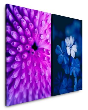 Sinus Art Leinwandbild 2 Bilder je 60x90cm Koralle Bachblüte Unterwasser Nahaufnahme Blau Violett Makrofotografie