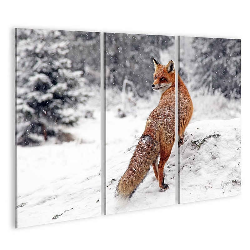 islandburner Leinwandbild Bild auf Leinwand Fox Im Wald Am Hohen Tatra Slowakei Wandbild Leinwa