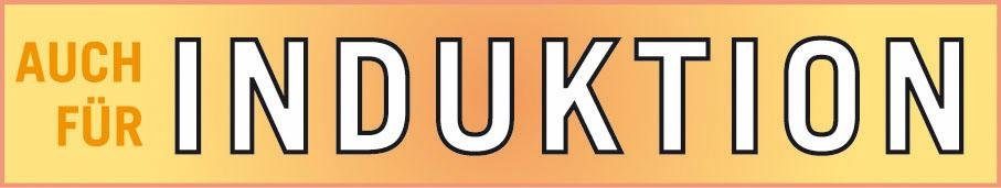 GSW Kochtopf ELEGANCE, Edelstahl 18/8 (1-tlg), Induktion