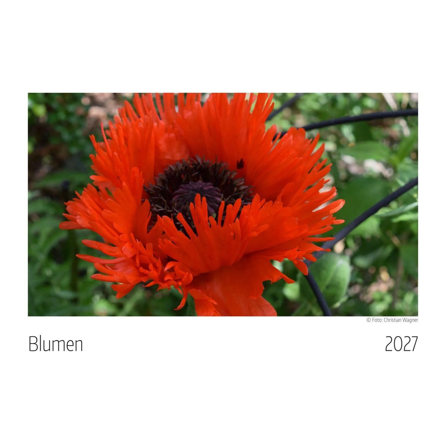 WAGNER Wandkalender Blumen Kalender 2027