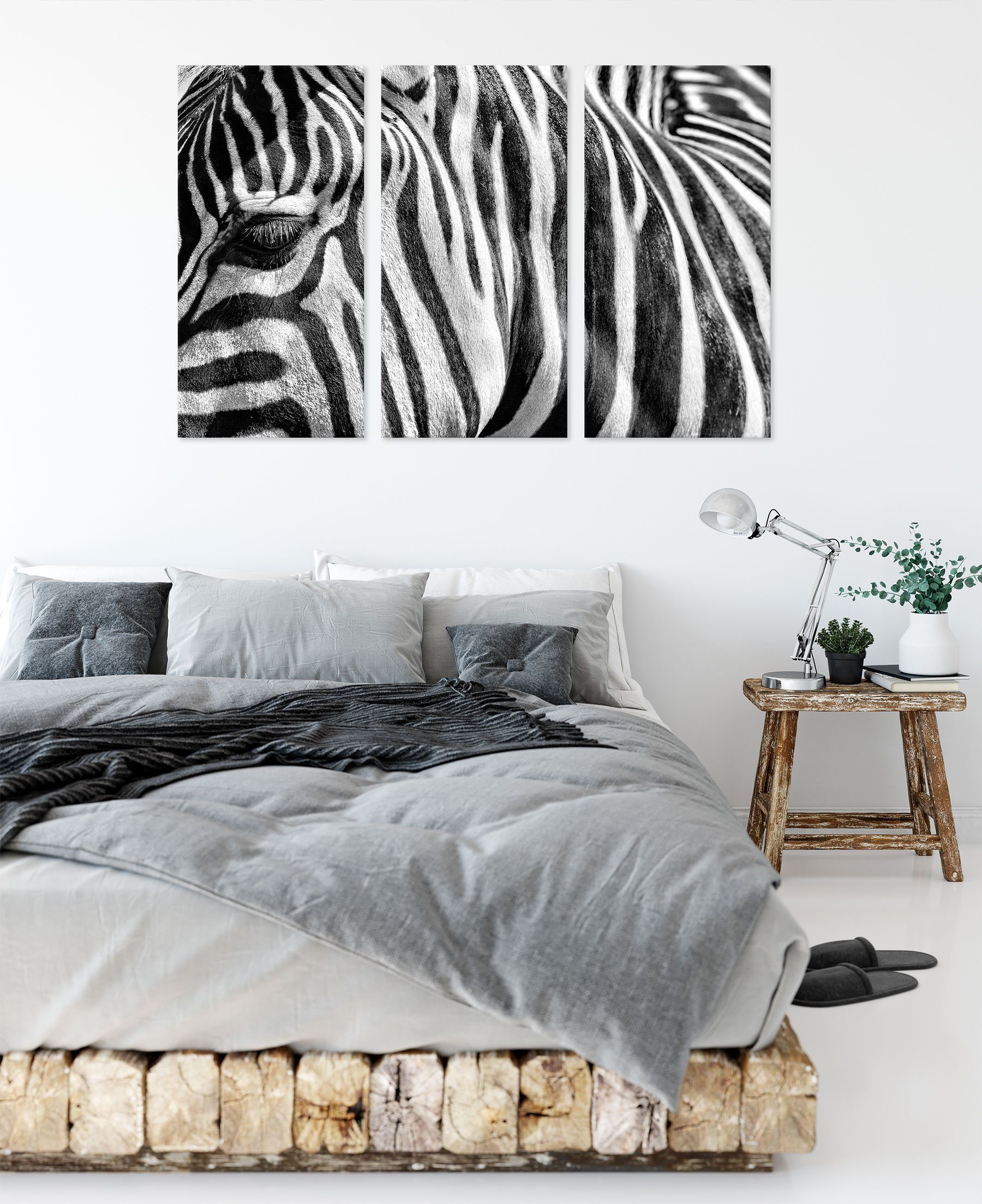 Porträt, Pixxprint fertig St), Porträt Zackenaufhänger Zebra (1 3Teiler Leinwandbild Leinwandbild (120x80cm) Zebra bespannt, inkl.