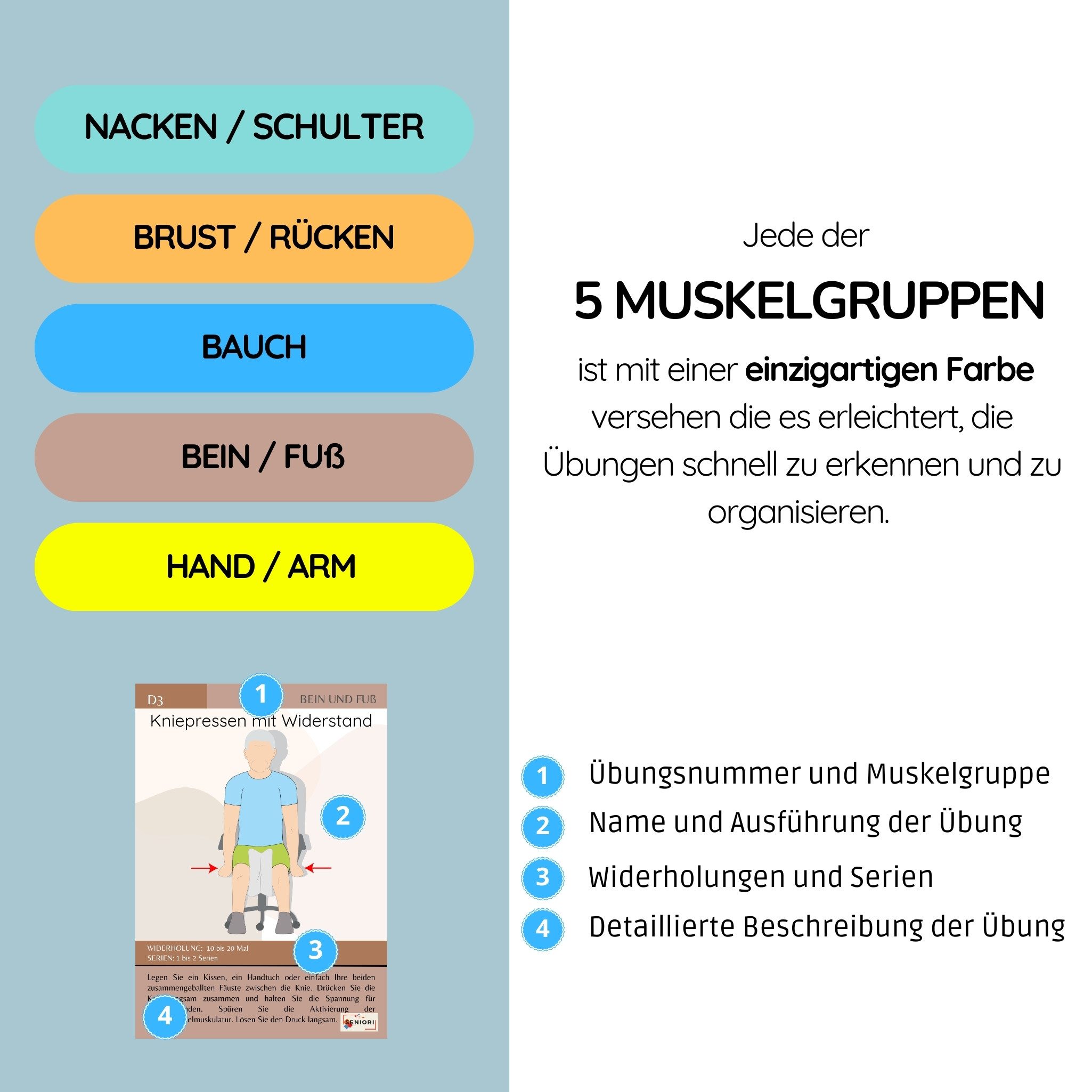 Seniori Trainingshilfe Stuhl Yoga Karten für Senioren XXL Format A5! Übungskarten, Perfekt für das tägliche Training mit Wochenplan