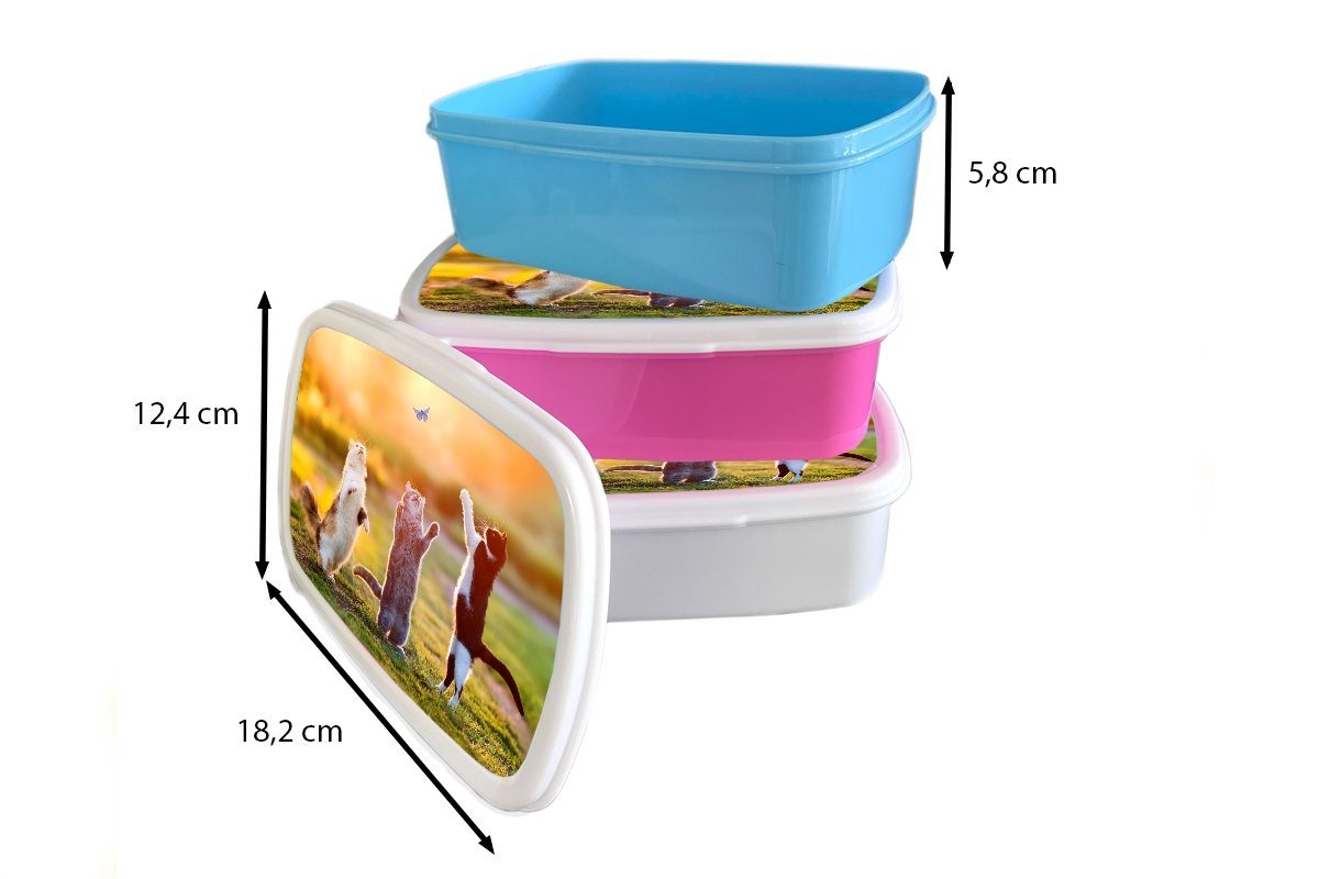 Brotdose - - Kinder, (2-tlg), Kunststoff Snackbox, MuchoWow - rosa Lunchbox Sonnenuntergang Gras für Brotbox Kunststoff, Natur, Katzen Erwachsene, Mädchen, Schmetterling -