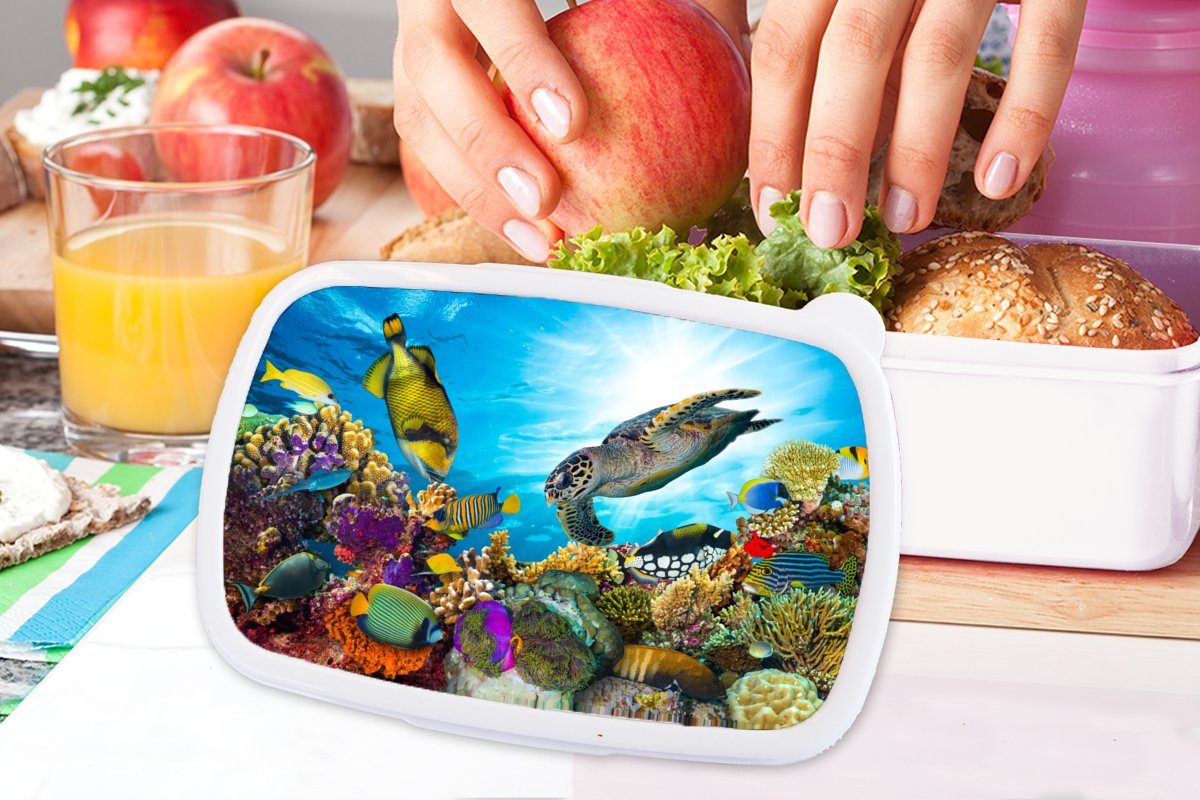 Erwachsene, Brotbox Brotdose, Kinder Schildkröte Meer und - Jungs - für MuchoWow und Kunststoff, weiß Lunchbox Koralle, (2-tlg), für Mädchen